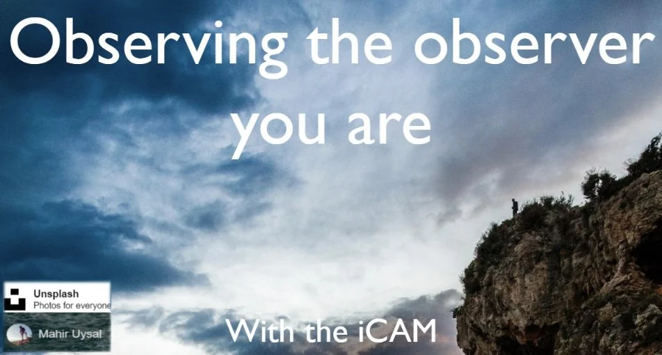 iCAM.jpg