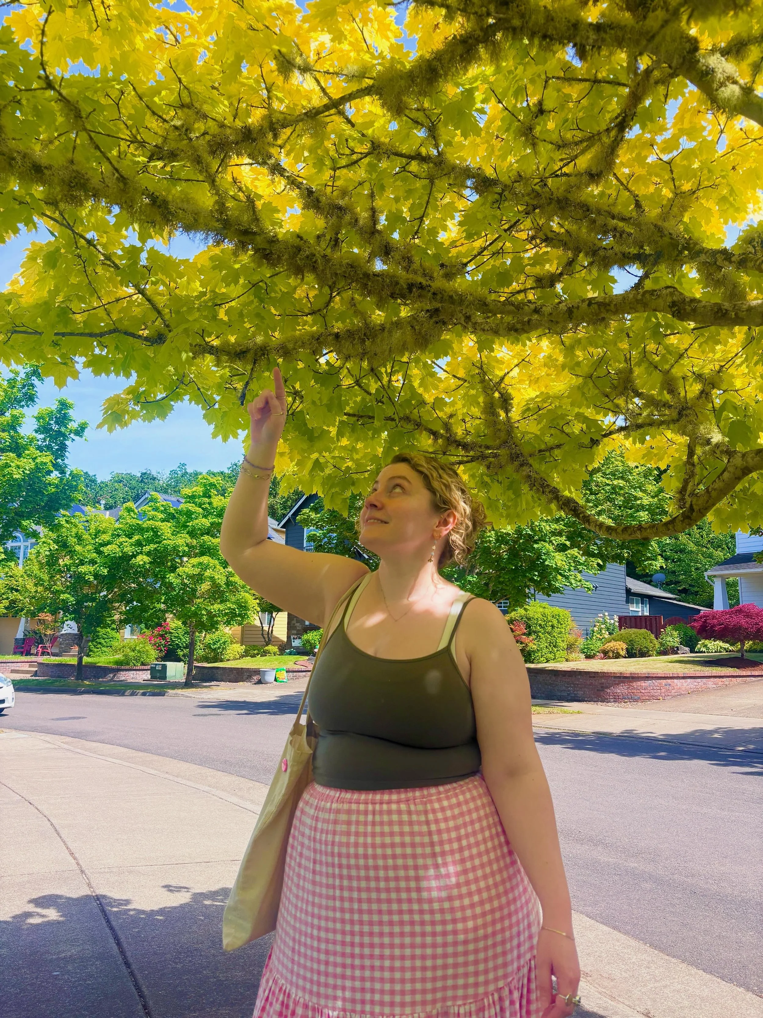 🌷🌻🐍🌿🐞🐌🍃🌾🪻🍄🪲🐿️🪶🪺

📸: @liv_in.her.element