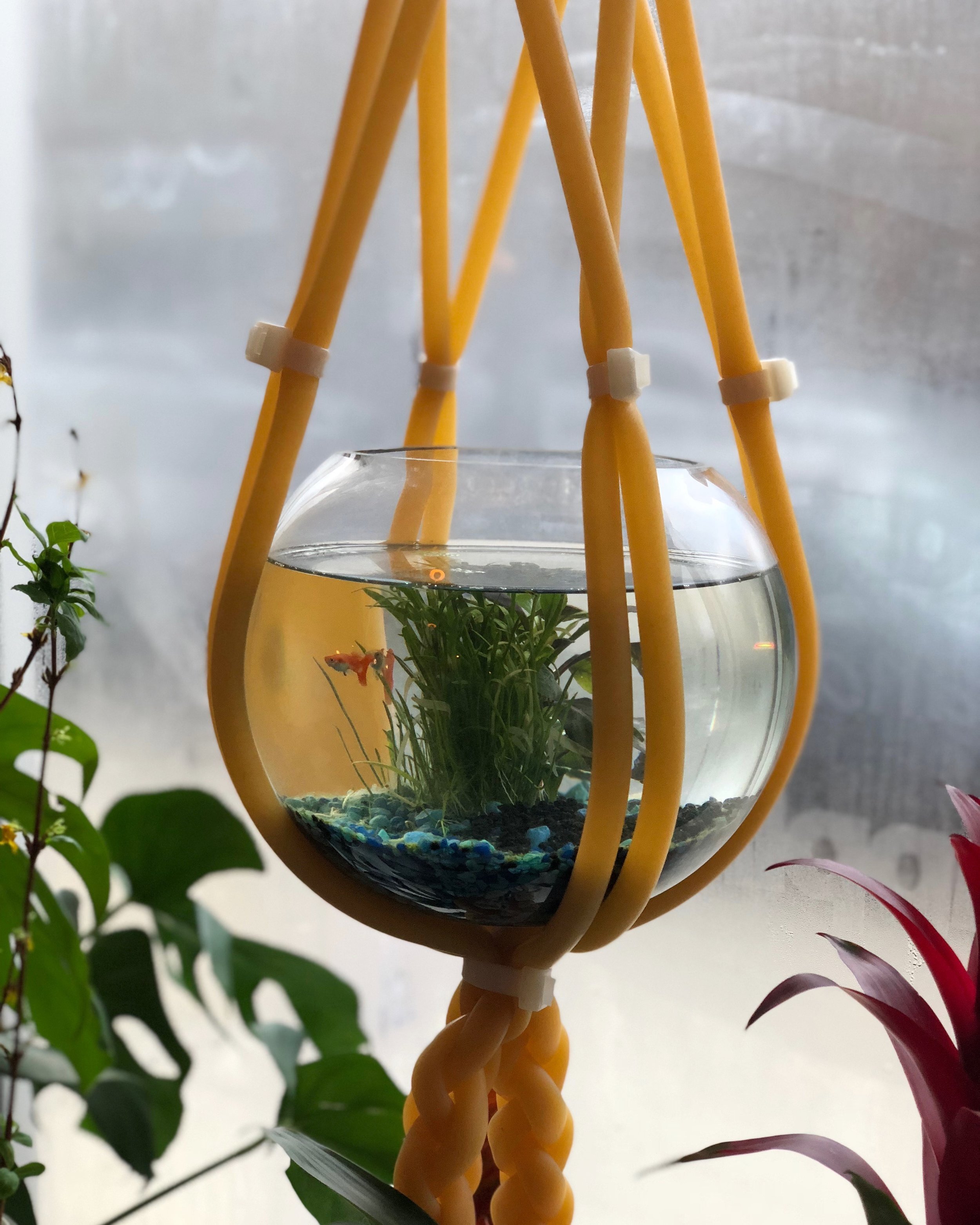 hanger w fish.jpeg