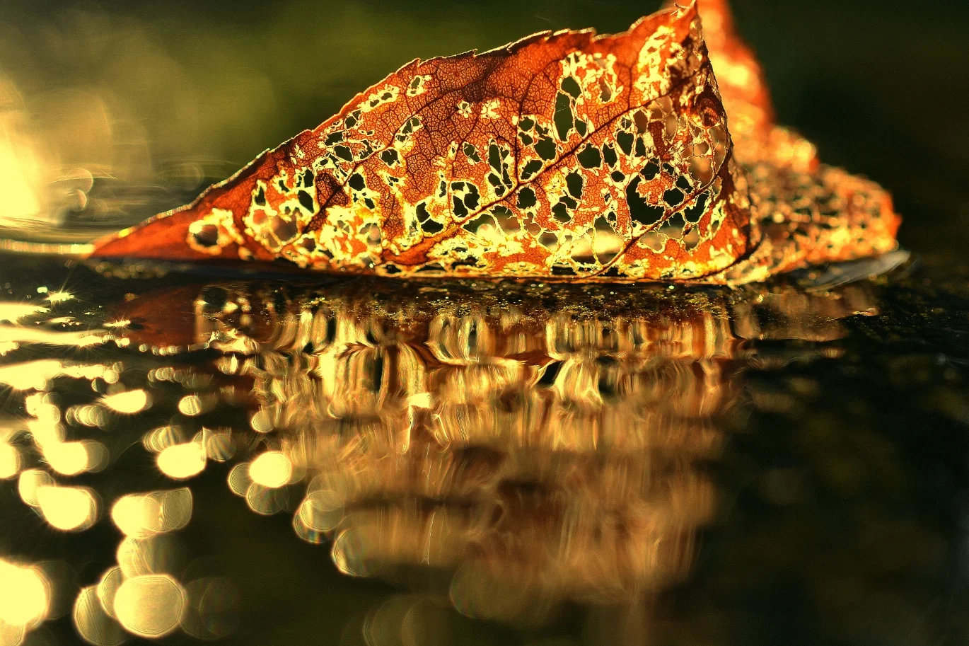 Forgiving Ourselves