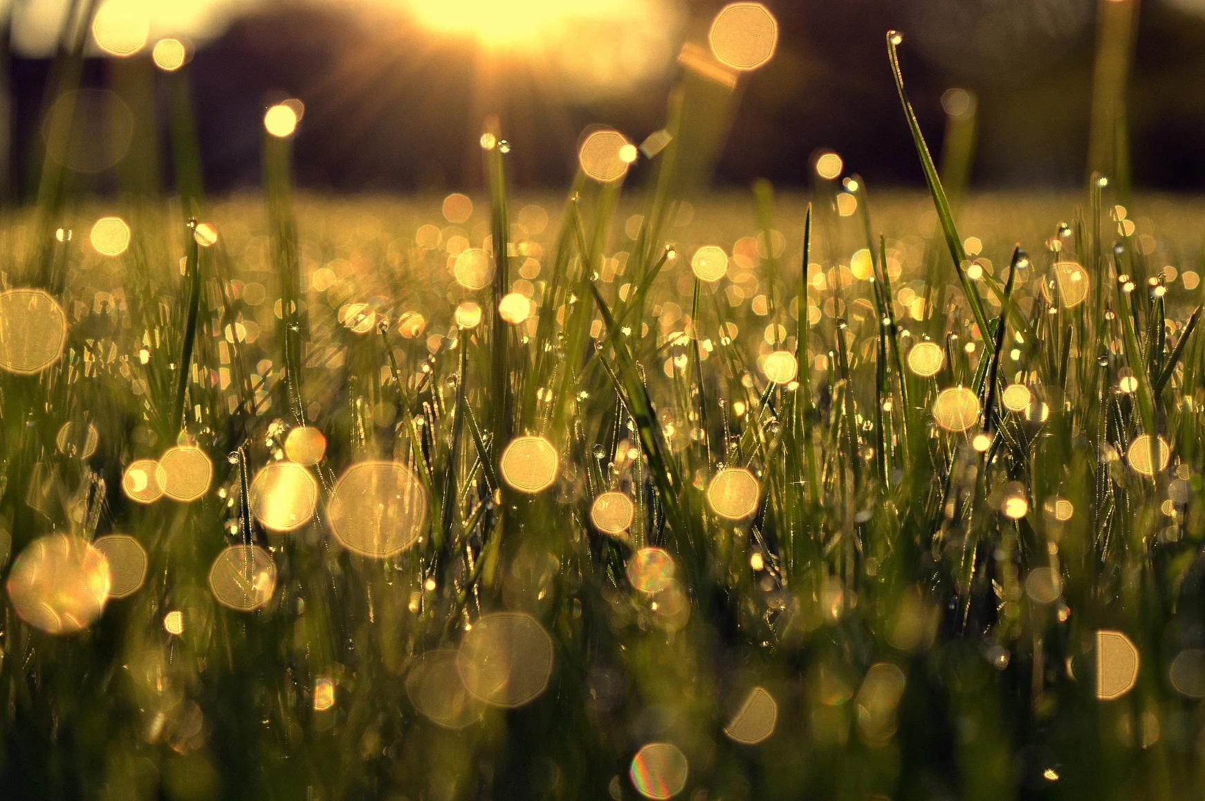 How Is It Supposed To Be?