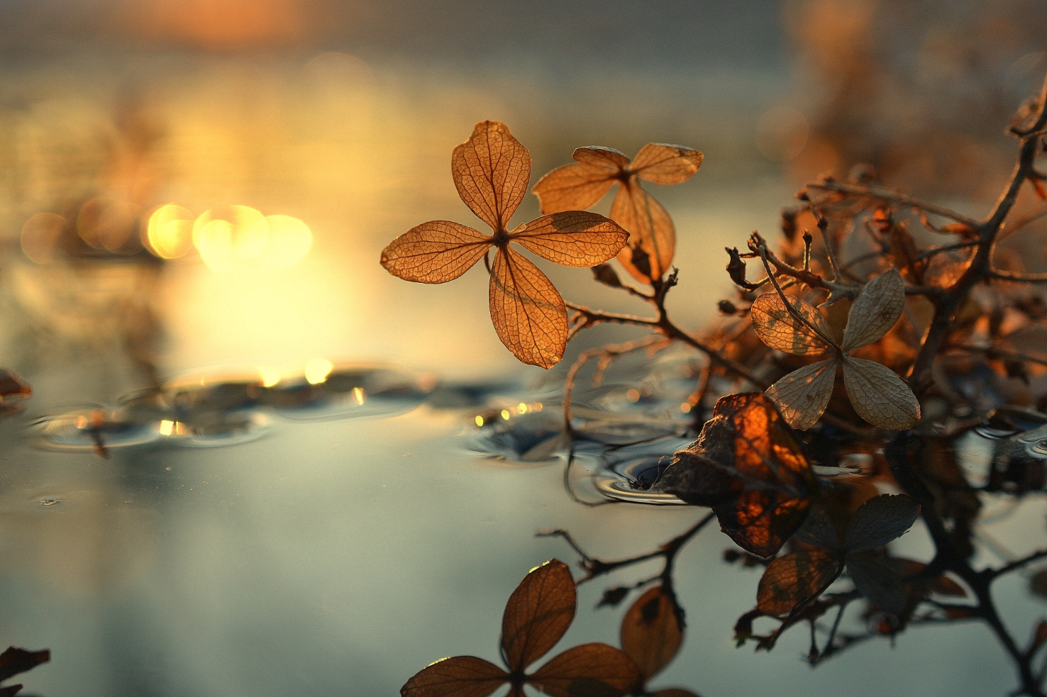 Mindfulness