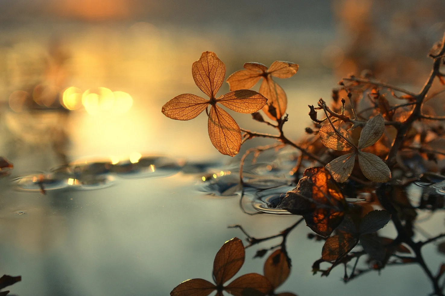 Getting to Know Ourselves