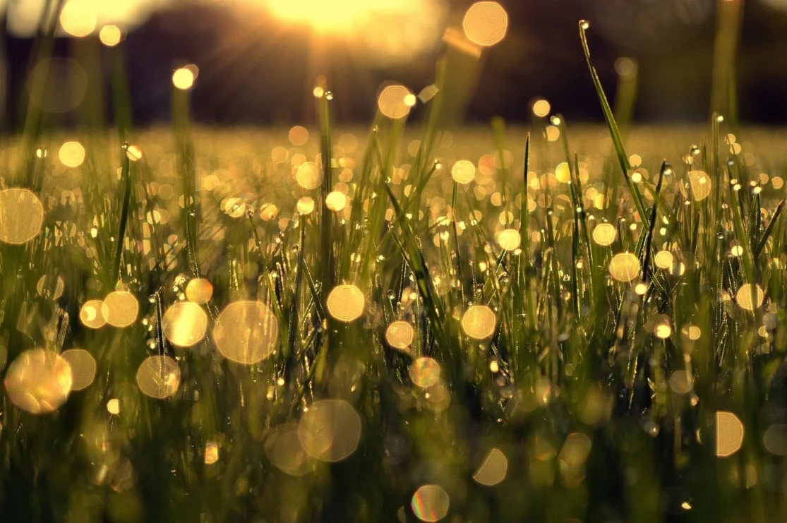 Holding Opposites Within Us