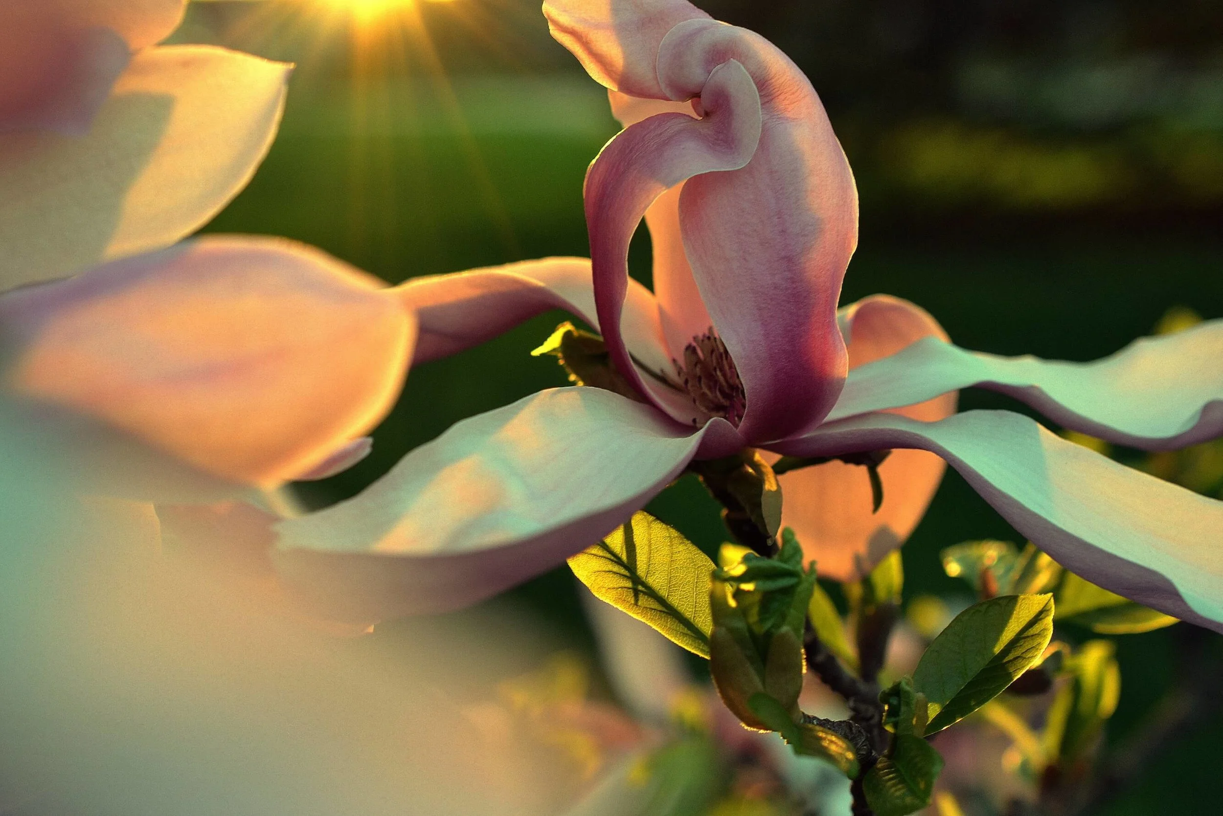 Opening up to Grief