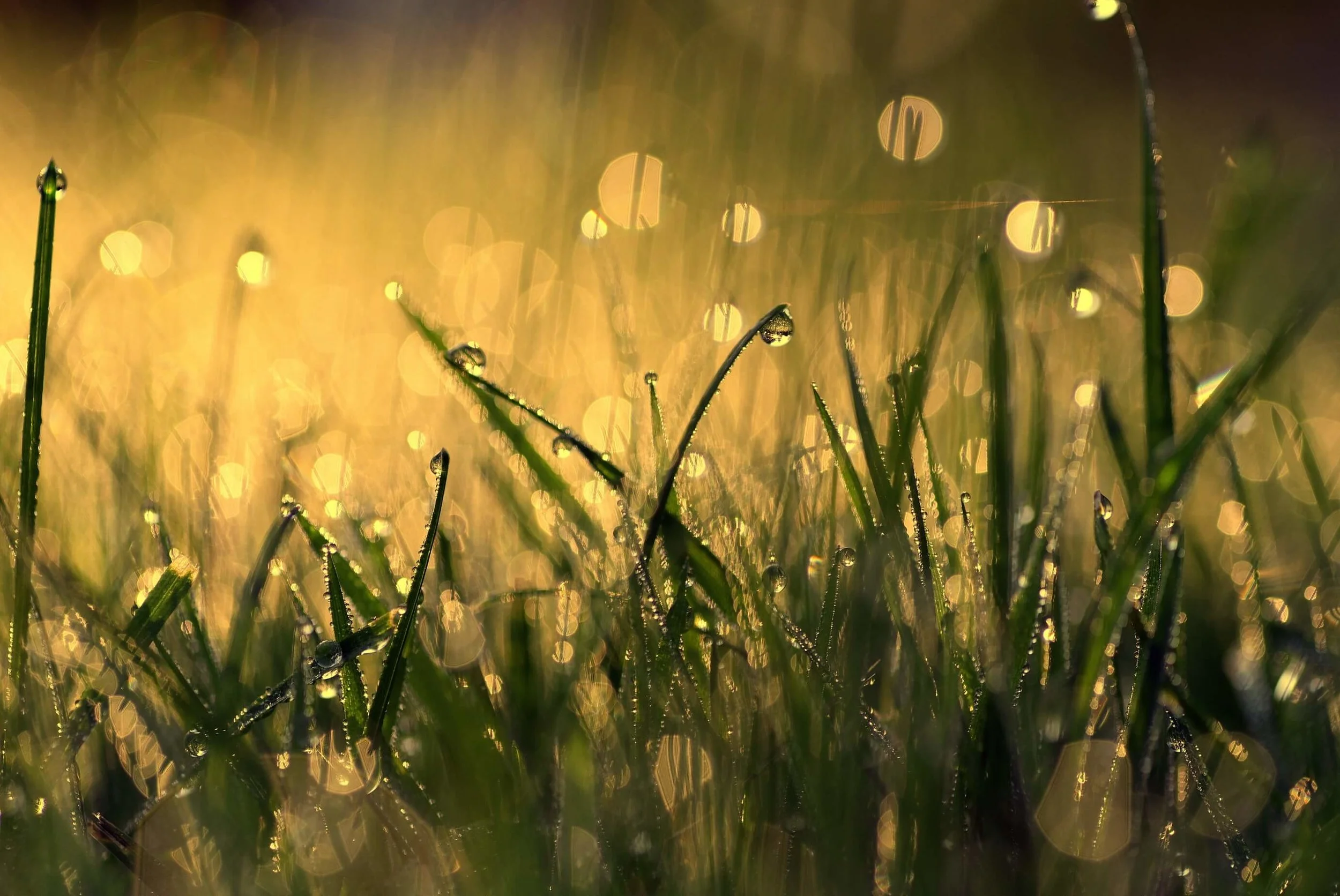 The Reality of Grief