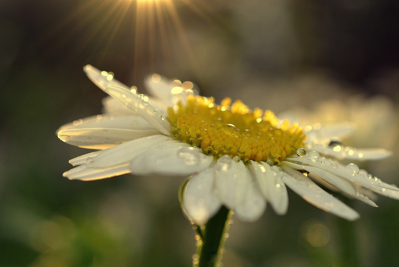 mindfulness classes