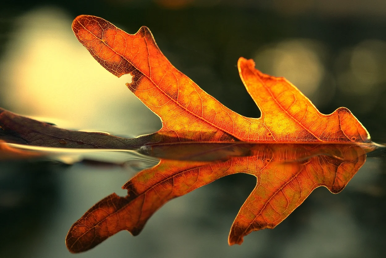 Being Compassionate Toward Ourselves