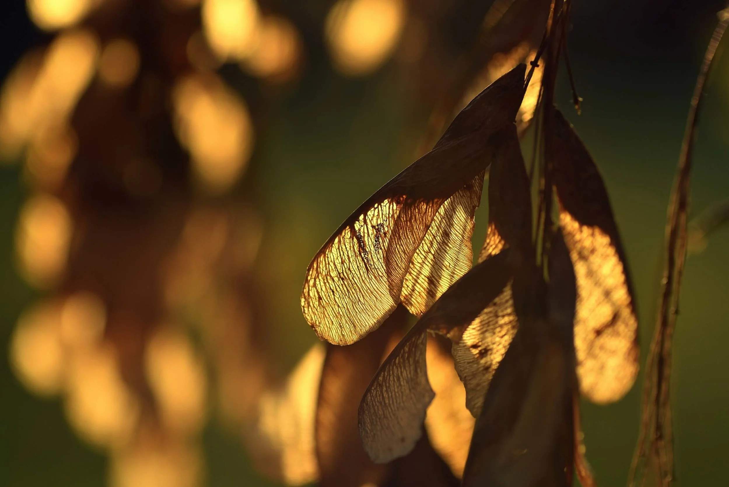 A Plea for Meaningful Communication