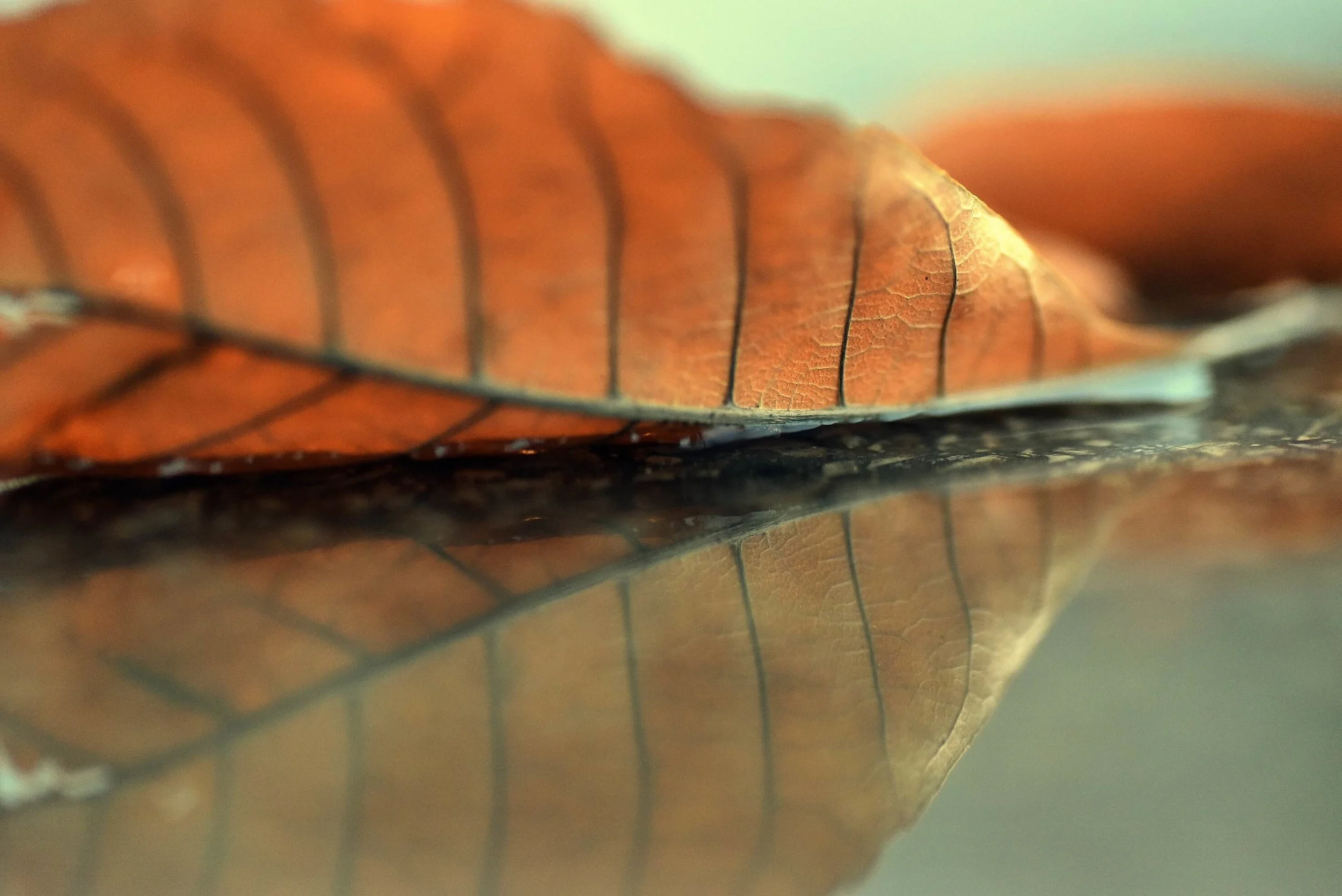 The Murkiness of Comparing-Mind