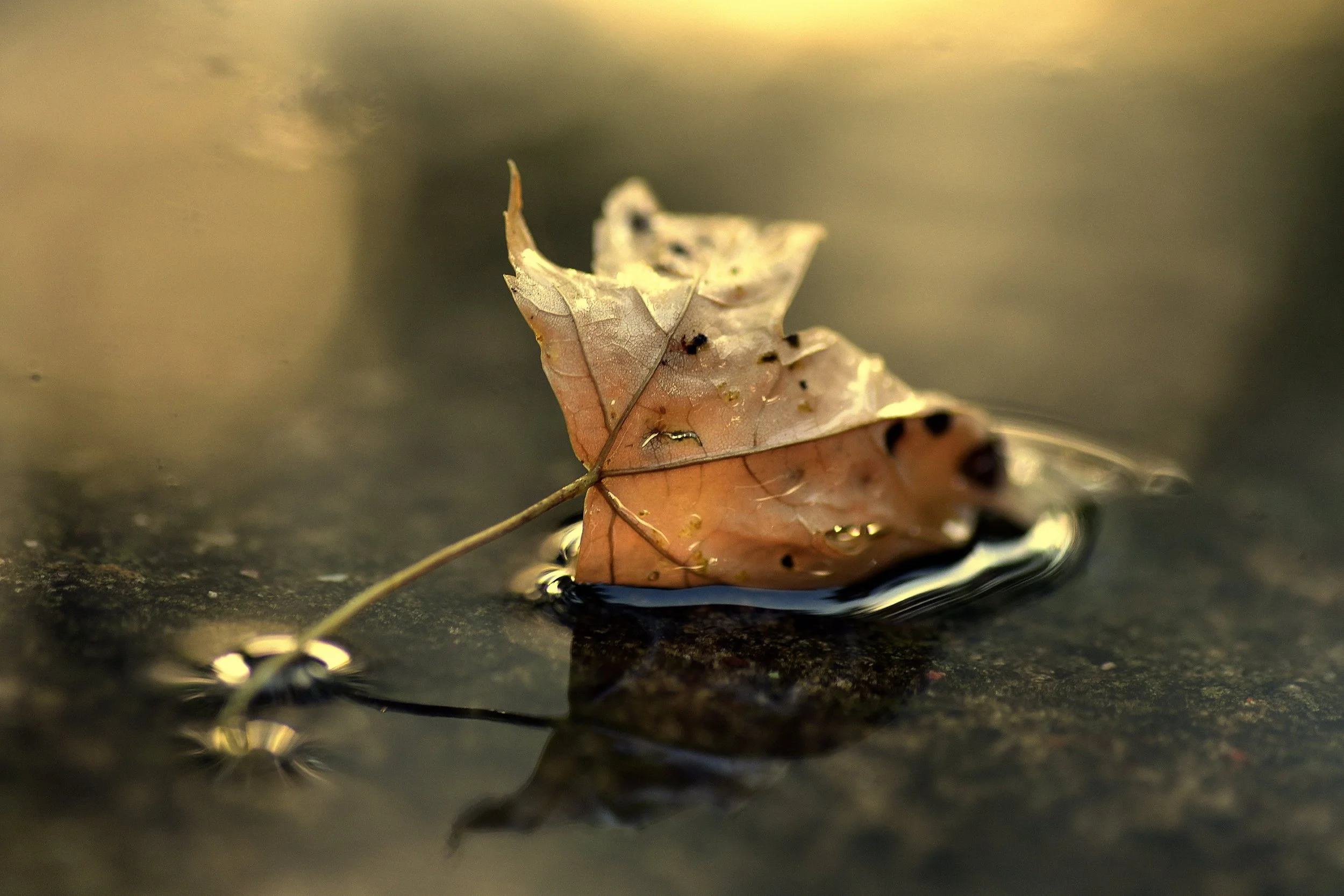 The Complexity of Grief