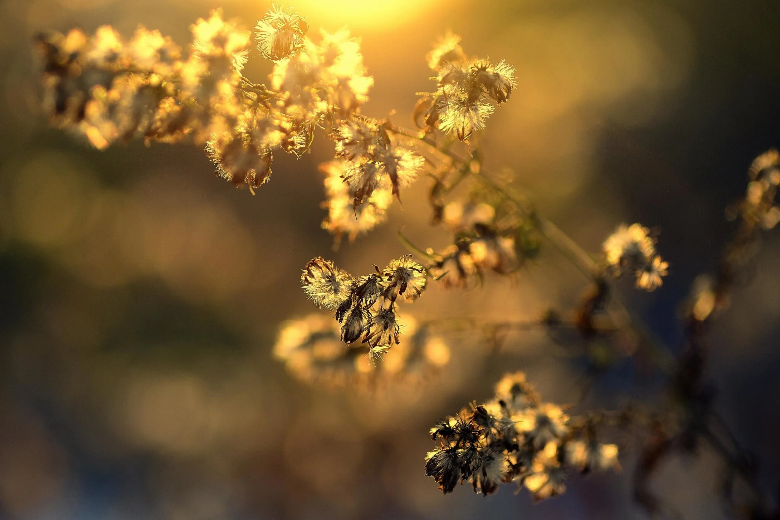 The Gift of Listening