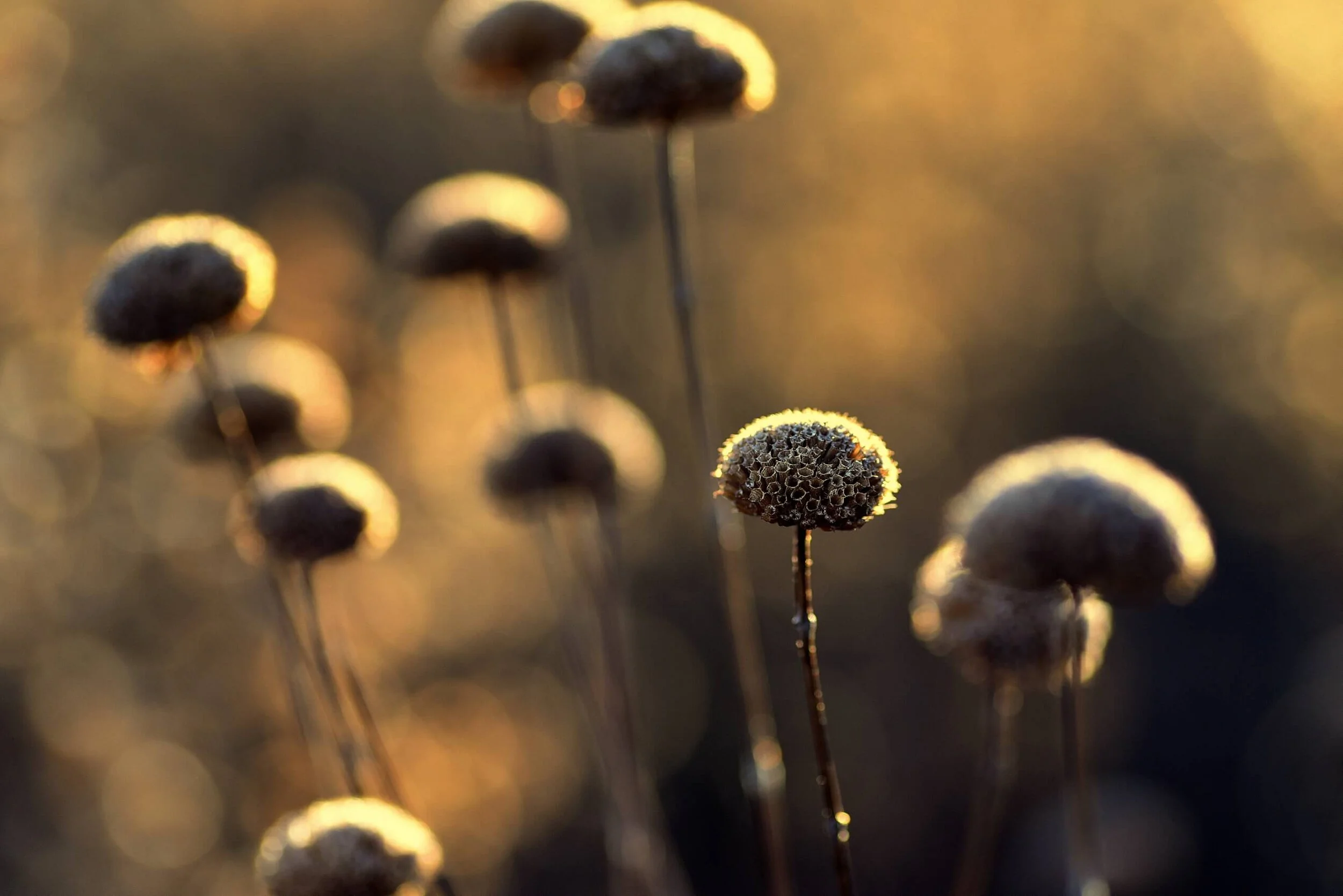 Seeing the Goodness in Others