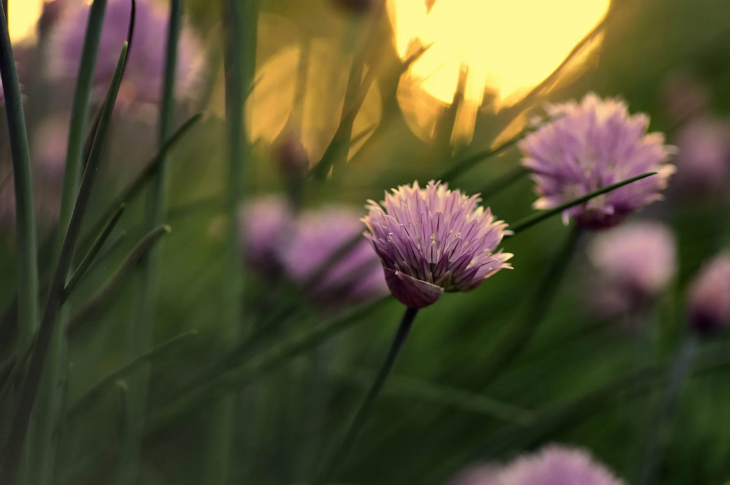 Recent Insights: Part 2