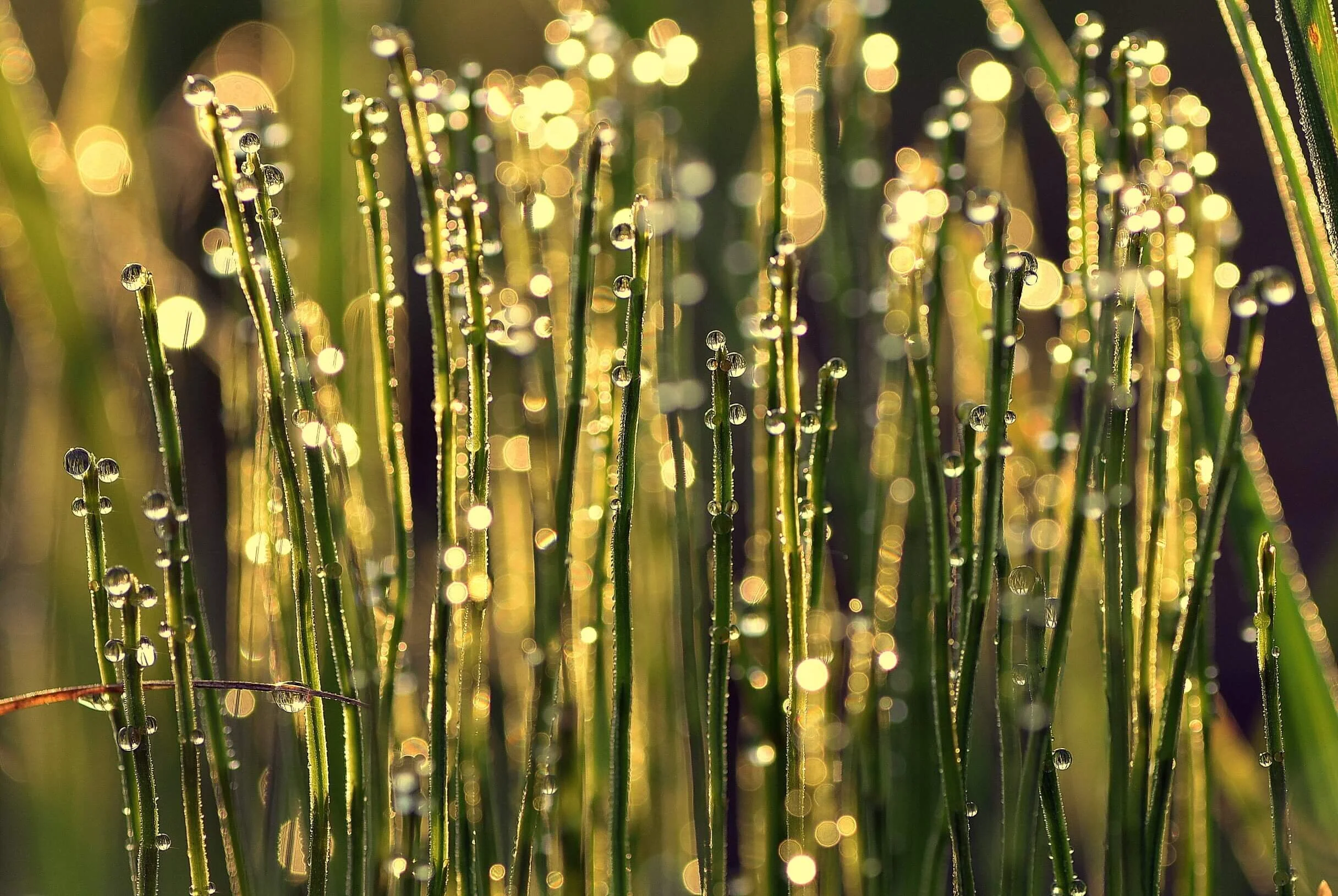 Taking Responsibility