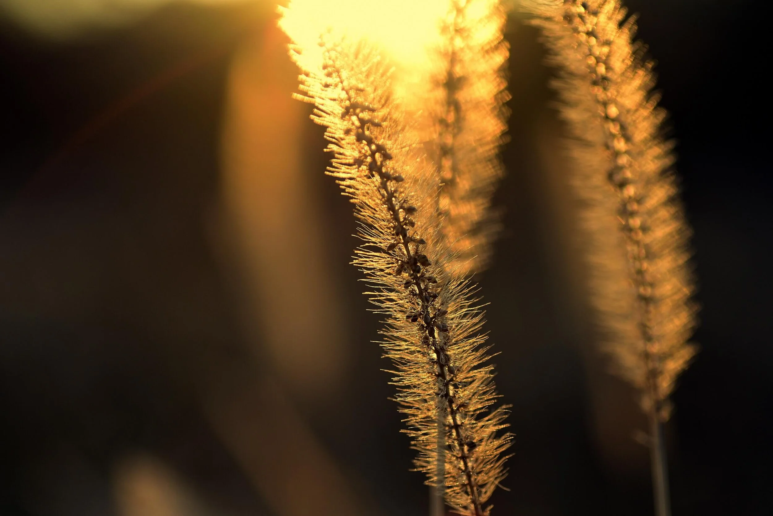 The Dance of Connection