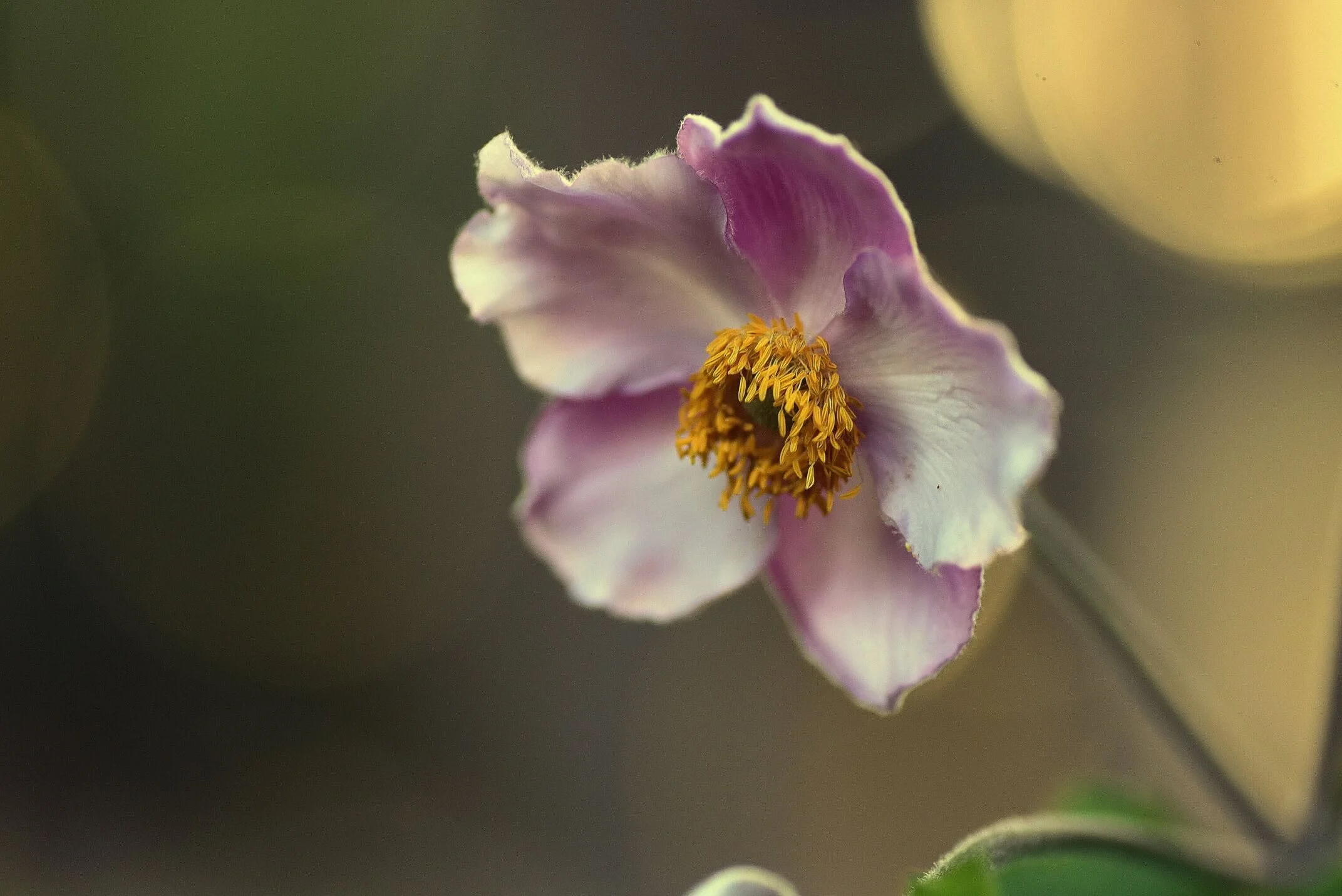 It's Okay to Not Be Okay