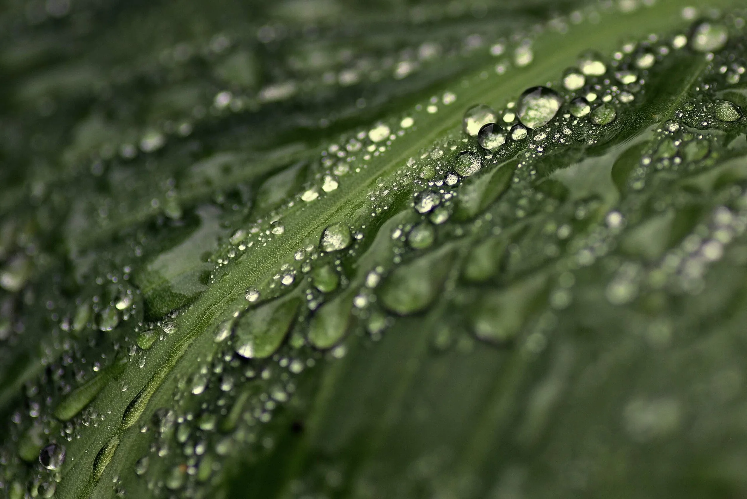 Creative Expression (yes, during a pandemic!)