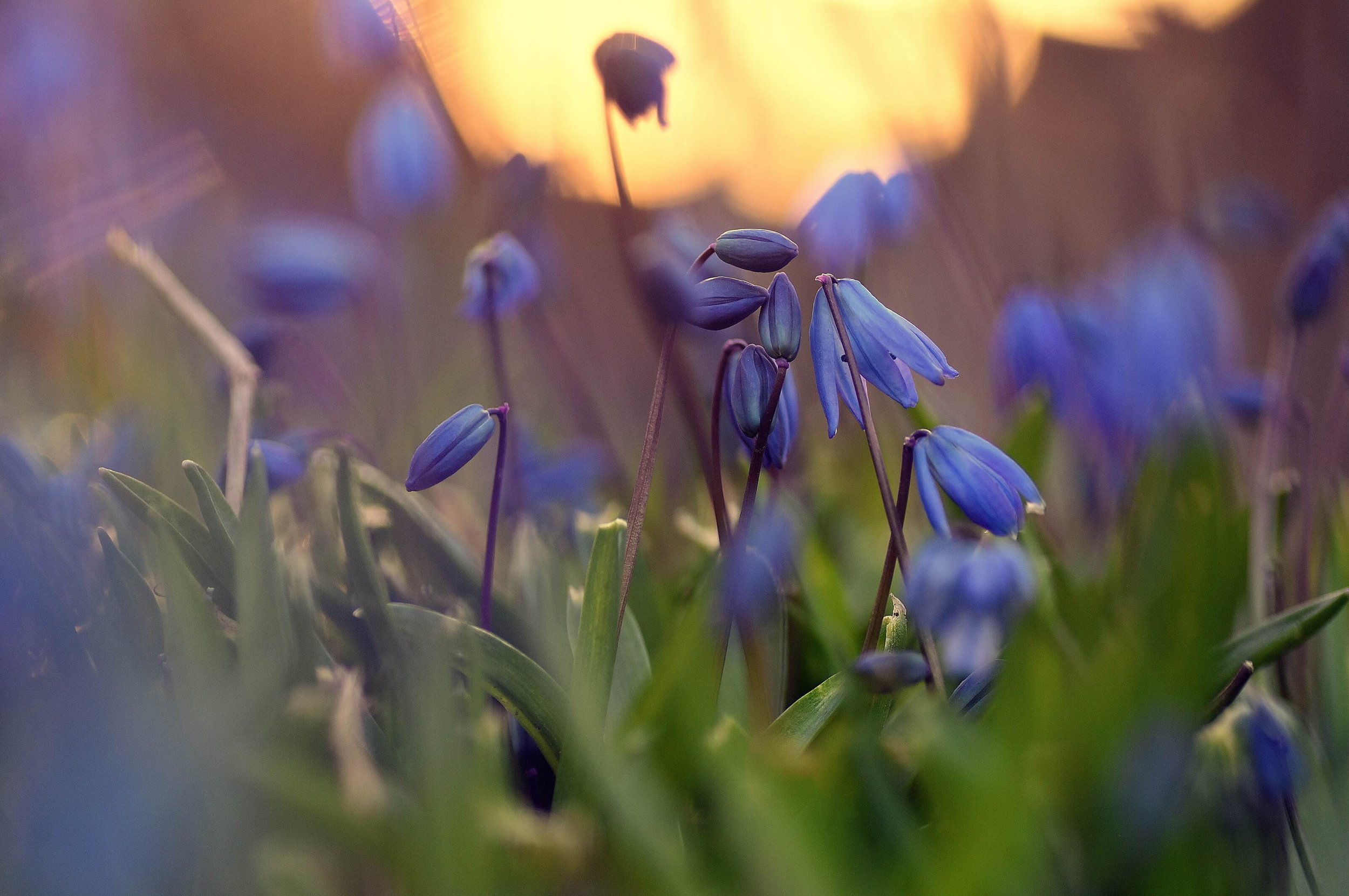 Opening Our Tender Hearts