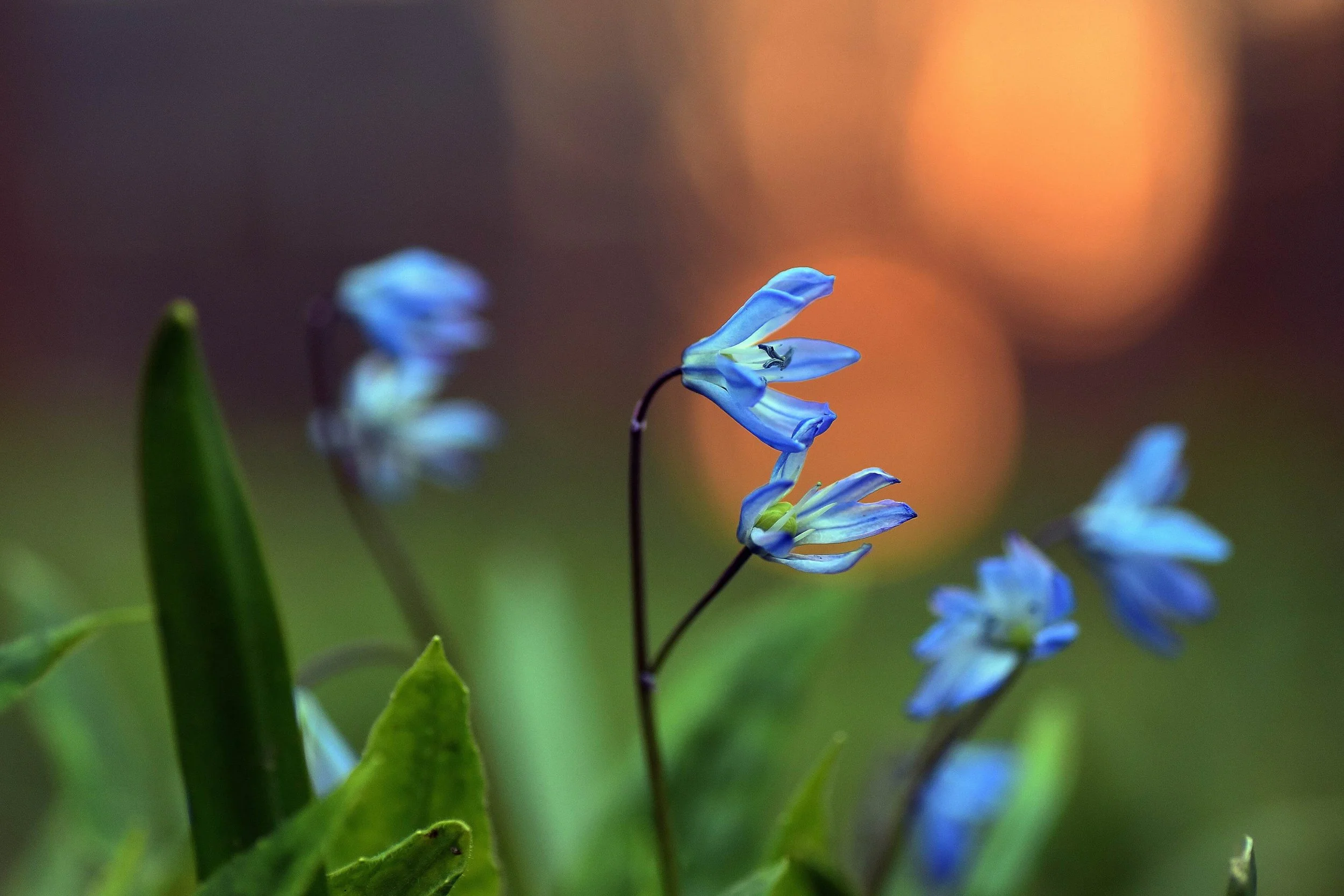 An Empowering Reframe