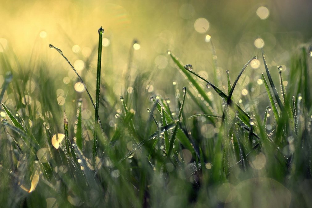 Mindfulness Mini-Retreat 