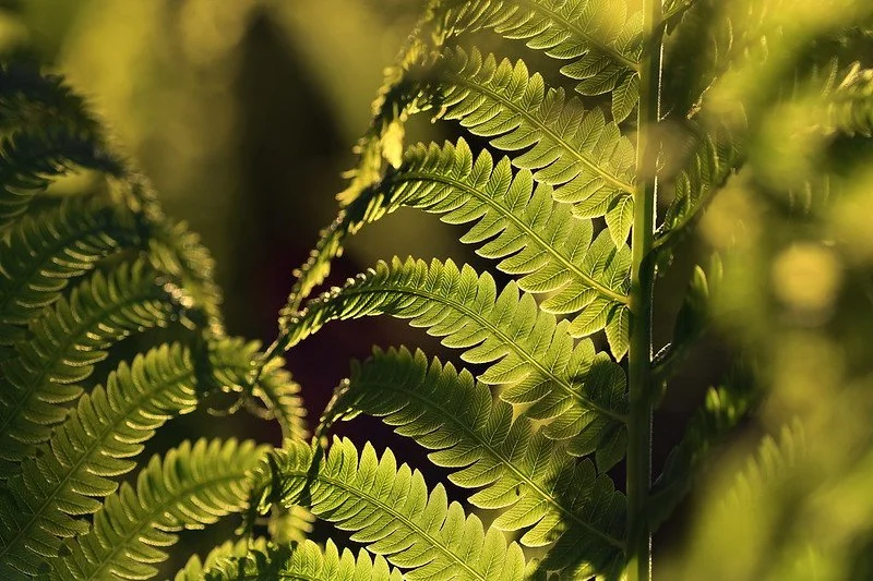 What if Stress Means Your Life Matters?