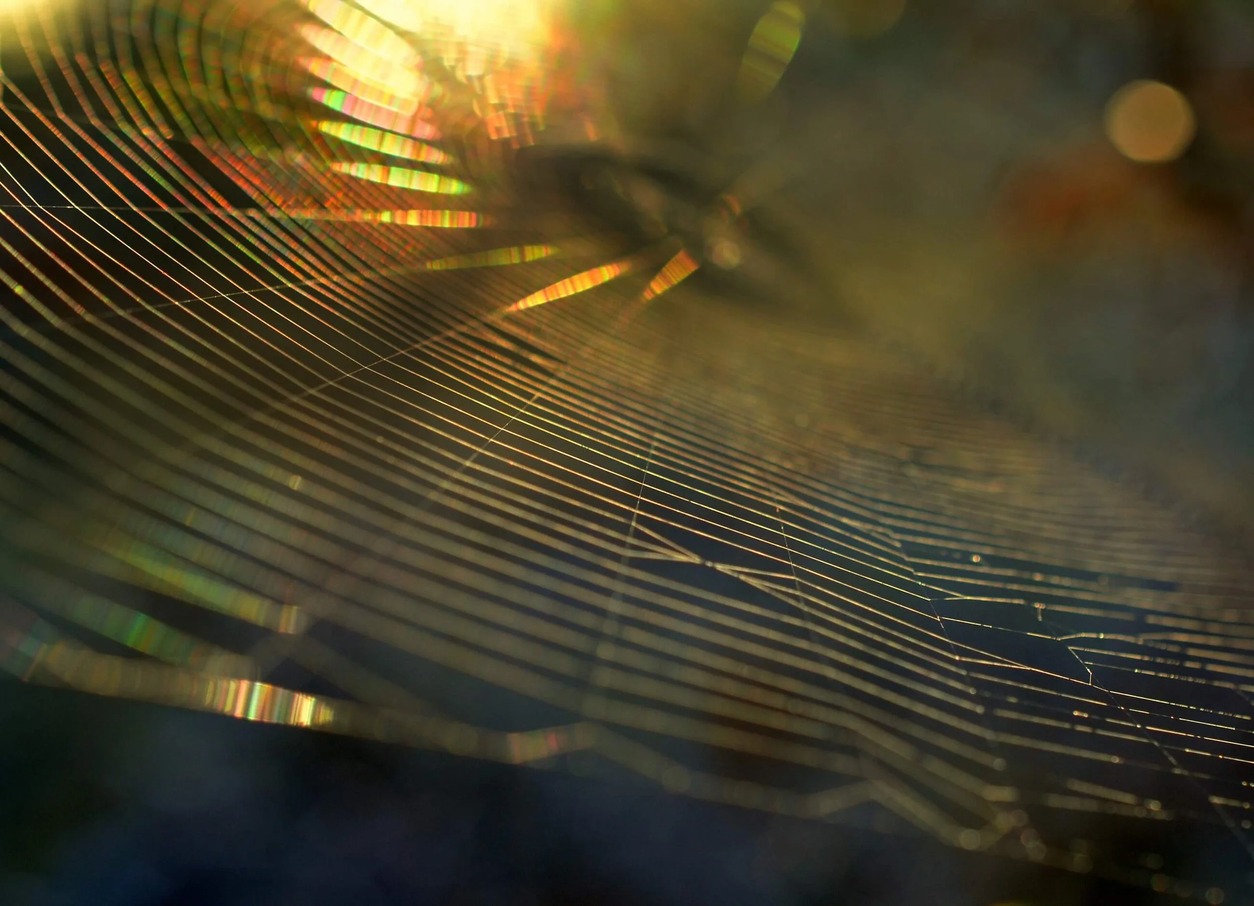 Letting Go of People Pleasing: Mindful Ways to Set Boundaries and Honor Your Needs