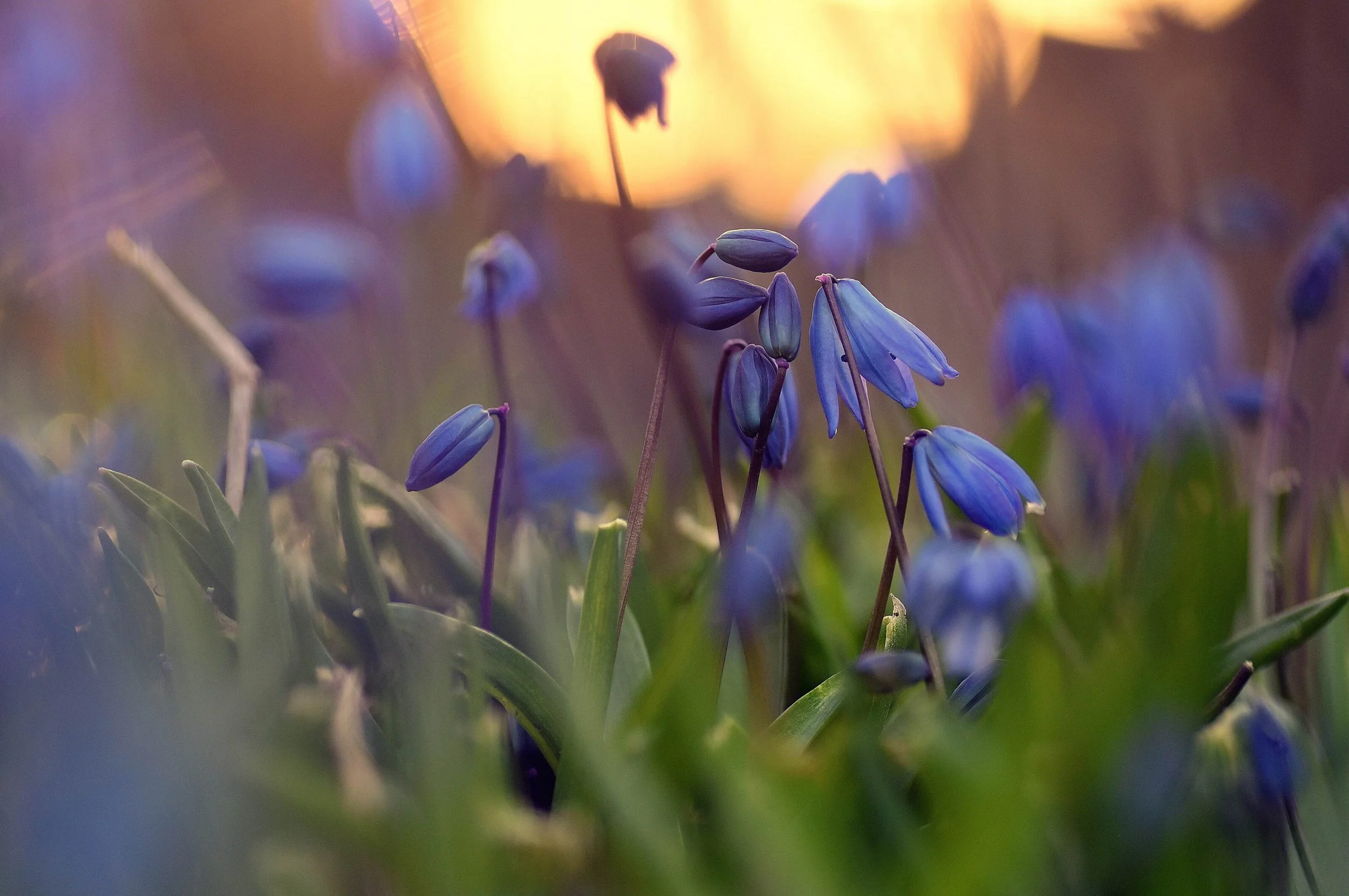 5 Mindfulness Practices to Reduce Stress at Work