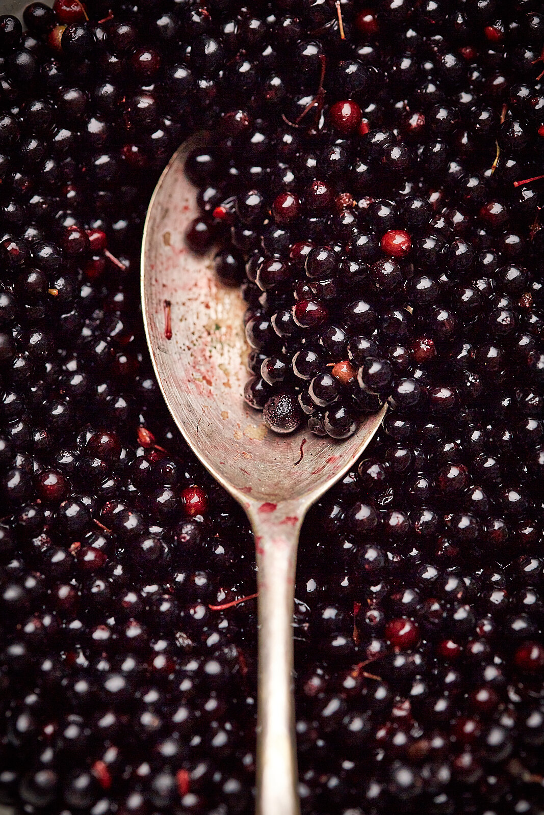 Elderberry cordial  008.jpg