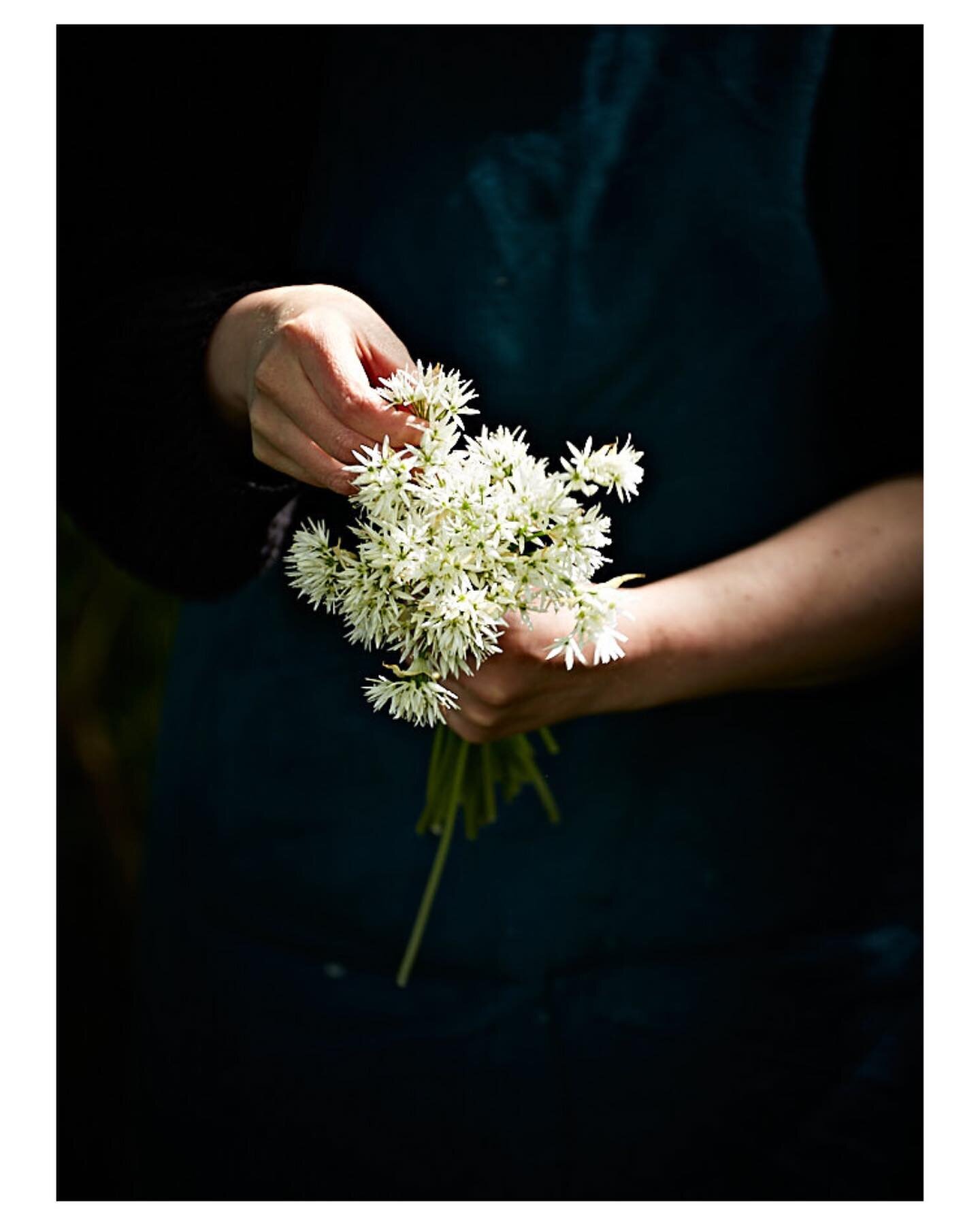 Picking wild garlic with @theedibleflower 

Wild garlic malfatti with tomato sauce and toasted walnuts is another gorgeous recipe from Erin and Jo&rsquo;s book and Erin will be cooking this LIVE on @irelandamvmtv this morning at 9.35 so if you can tu