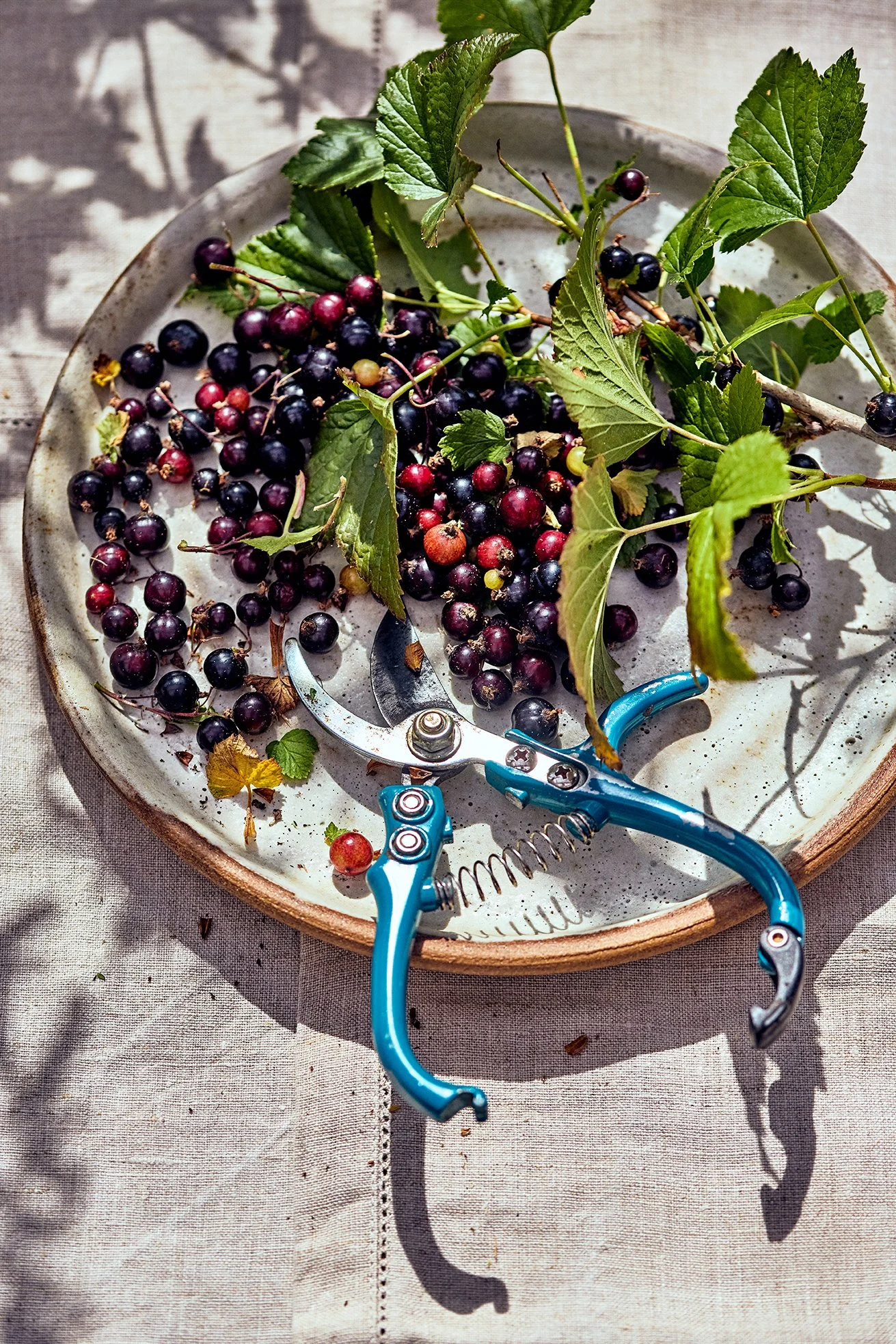 Cookbook_July28th_3O4A7723.jpg