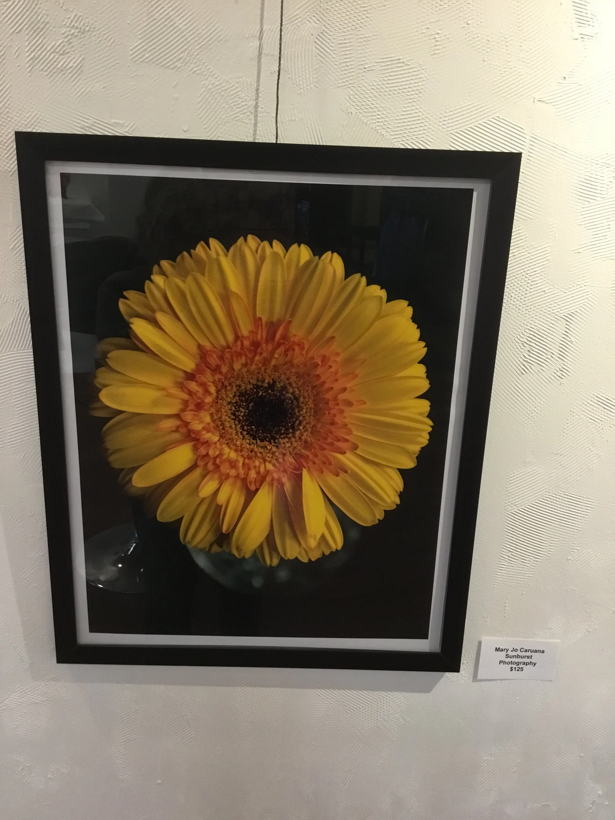 Sunburst (Copy)