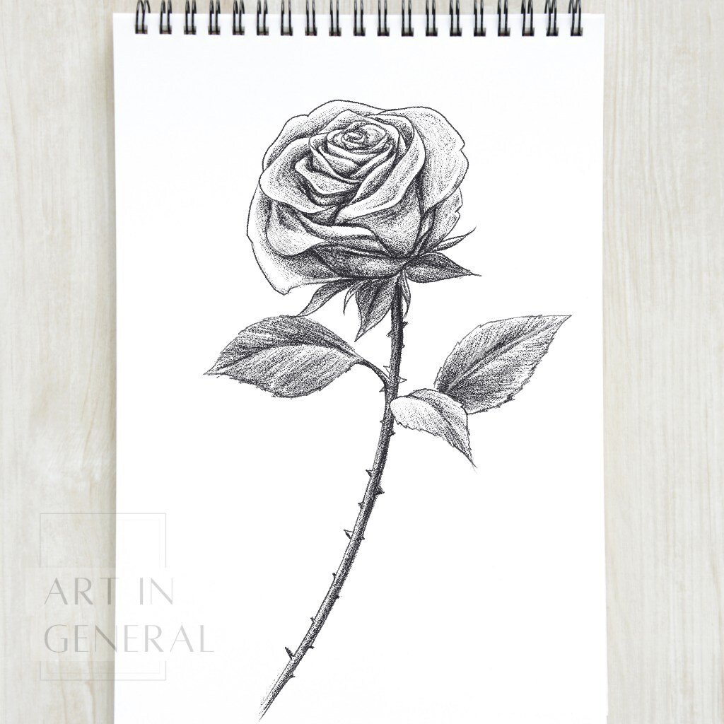 How To Draw A Rose &ndash; A Step-by-Step Art Tutorial
https://loom.ly/5SBAFEA