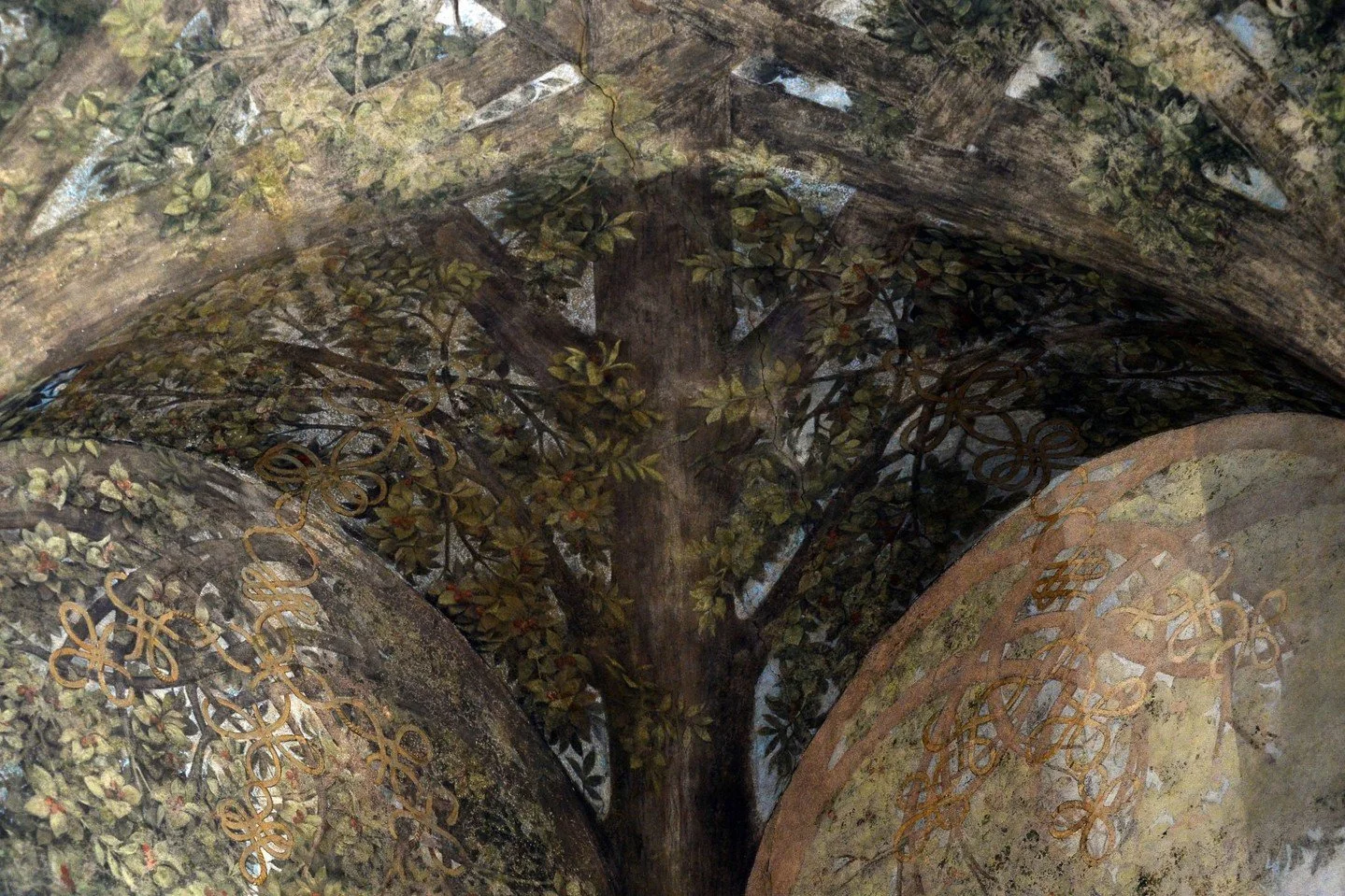 Long-Hidden Leonardo Mural Opens to the Public Ahead of 2026 Milan Olympics. Visitors can climb the scaffolding inside Milan&rsquo;s Sforza Castle to see the Renaissance master's stunning ceiling mural amid restoration. https://loom.ly/69sTmL8