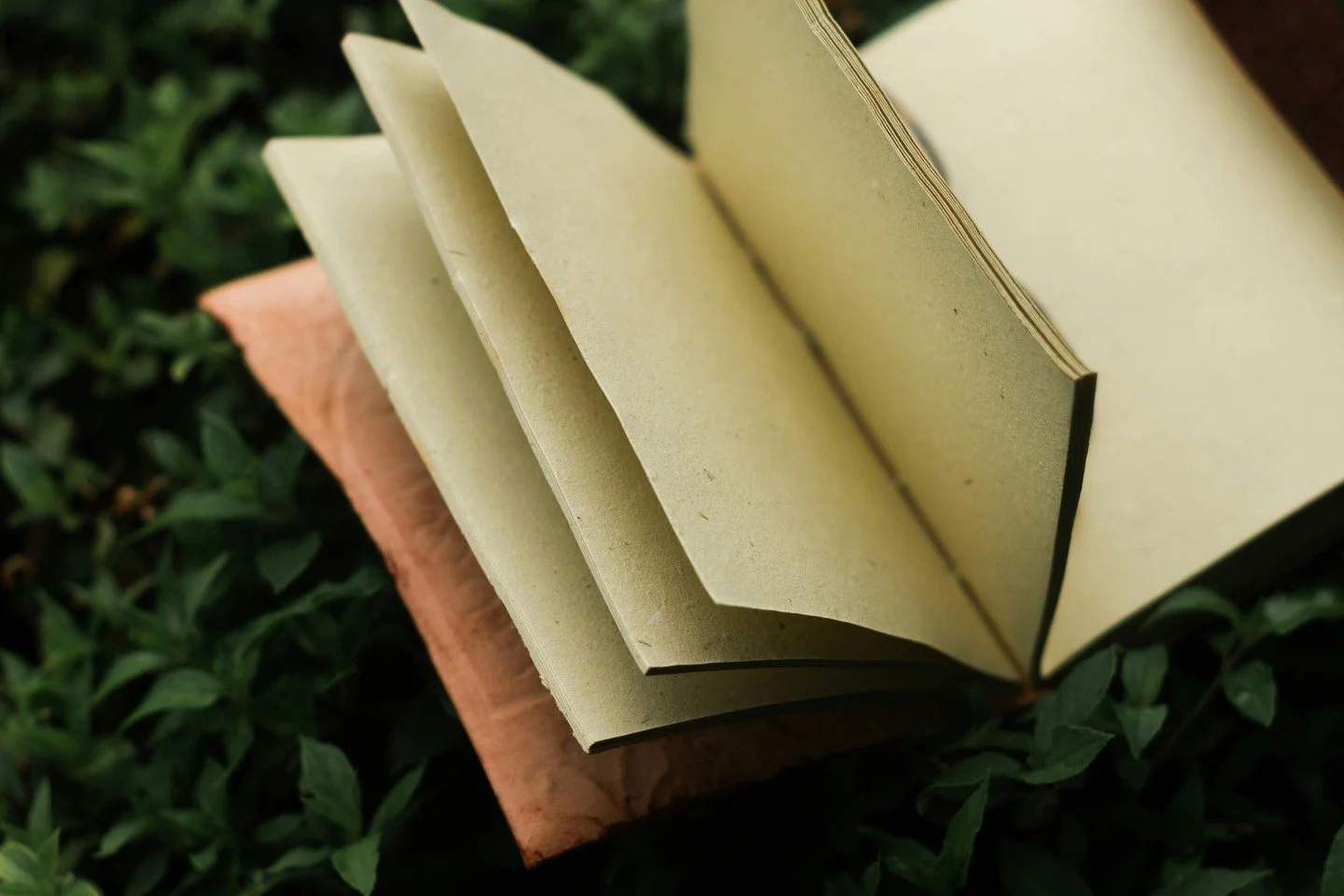 In Book of the Month, we dive into creative bookmaking techniques that turn paper into art. Every session features a different structure, so no two classes are the same.

Relaxing. Hands-on. Surprisingly addictive.
Walk out with a finished piece you&