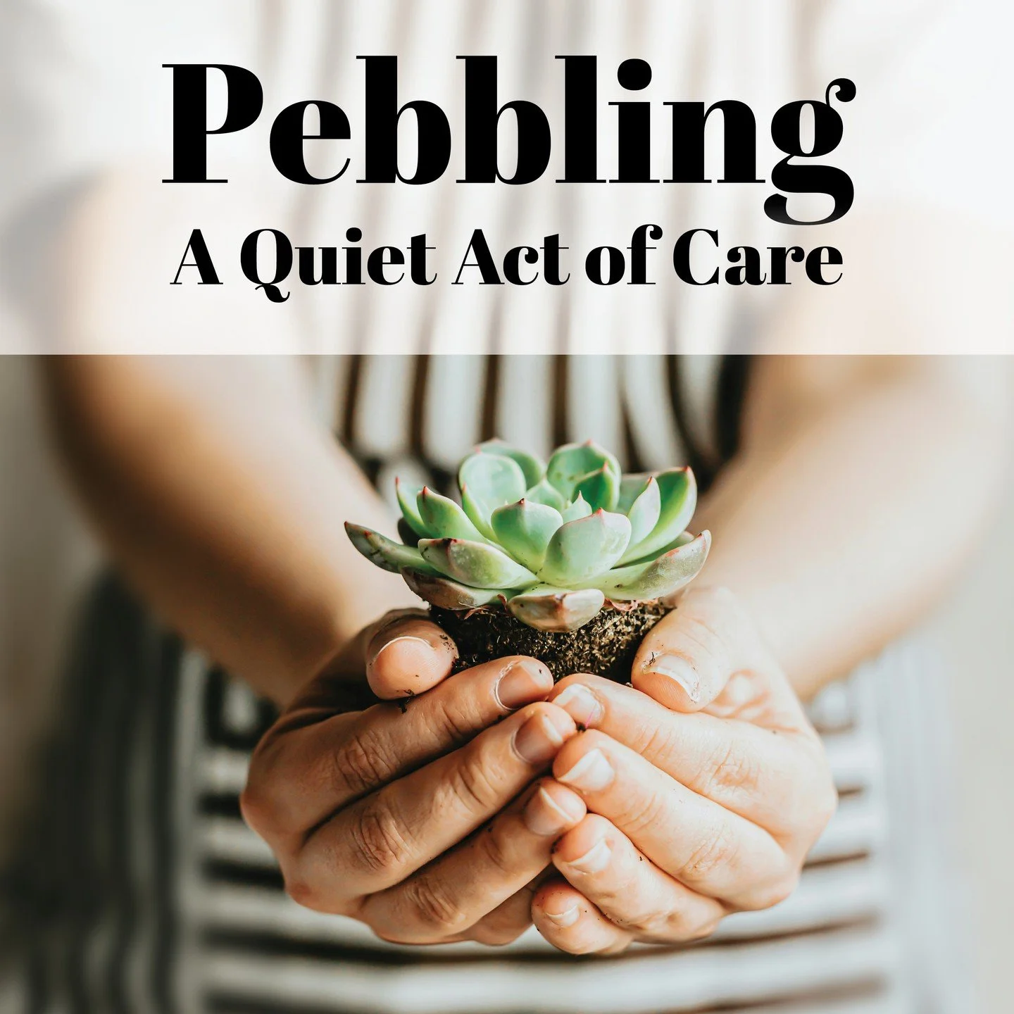 Pebbling: A Quiet Act of Care
From penguins offering pebbles to humans creating heartfelt tokens, small gestures can say everything. This exhibit celebrates art made in those quiet moments when someone is on your mind&mdash;where creativity becomes c