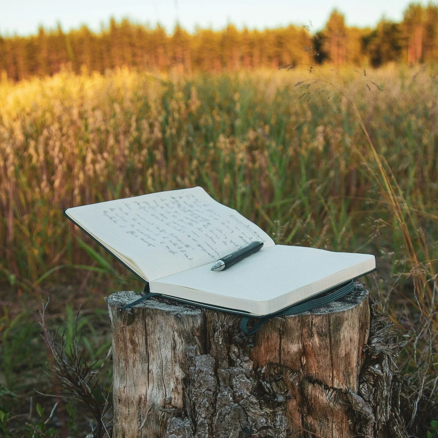 Staring at a blank page? Let&rsquo;s fix that. In this hands-on creative writing workshop, you&rsquo;ll experiment with prompts, explore storytelling techniques, and unlock ideas you didn&rsquo;t know were hiding in your brain. (They&rsquo;re in ther