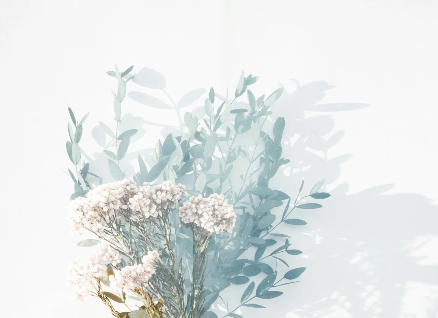 There&rsquo;s something magical about turning paper into art&hellip;
Join us for Book Folding and Florals on May 18 and create your own sculptural book piece&mdash;where pages bloom into something beautifully unexpected. No experience needed, just a 