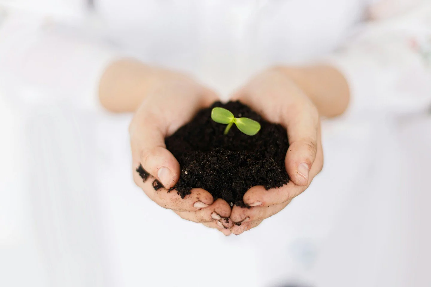 Kids Nature Club - Tuesdays in June from 4:30-6:30pm
Ages 9-12 explore the outdoors through themed lessons, hands-on activities, and creative projects. All materials provided. $10 per month each student.

Taught by a little fairy named Maddie. 🌱 Amb