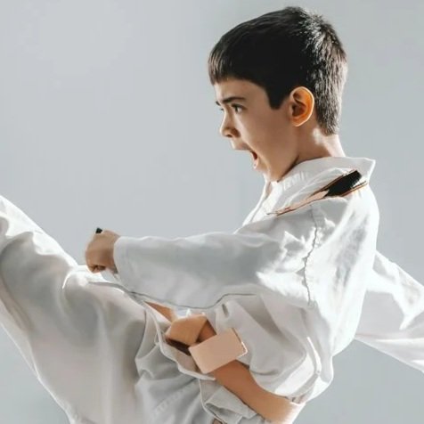 Martial Arts - 2026 Fall - Adults and Children
