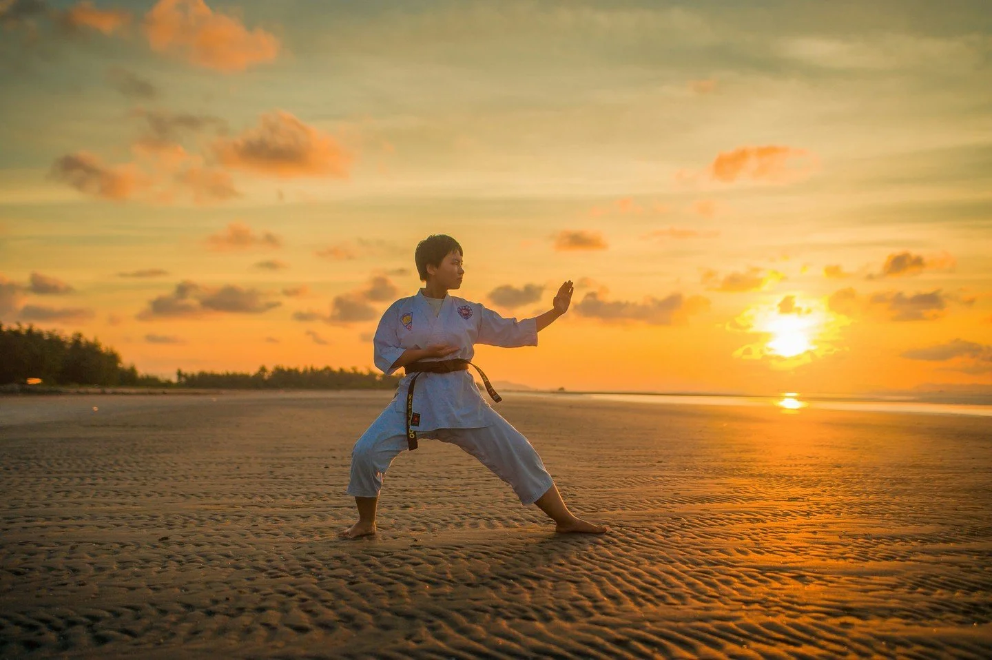 Wyandotte Martial Arts teaches traditional Korean Tang Soo Do at the arts center. This art is an excellent way to exercise, reduce stress, and learn self defense, in a fun and friendly class environment! 

ENROLL IN PERSON: 9/14 - 10/5 for the sessio