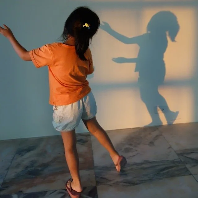 Give your young dancer a place to move, learn, and grow! Ms. Lisa is bringing back her magic to hold TWO classes at the DCA this fall and we can't wait.
 
Creative Dance: ages 3-5, Thursdays 3:45-4:30 pm 
Primary Ballet: ages 5-7, Thursdays 4:30-5:20