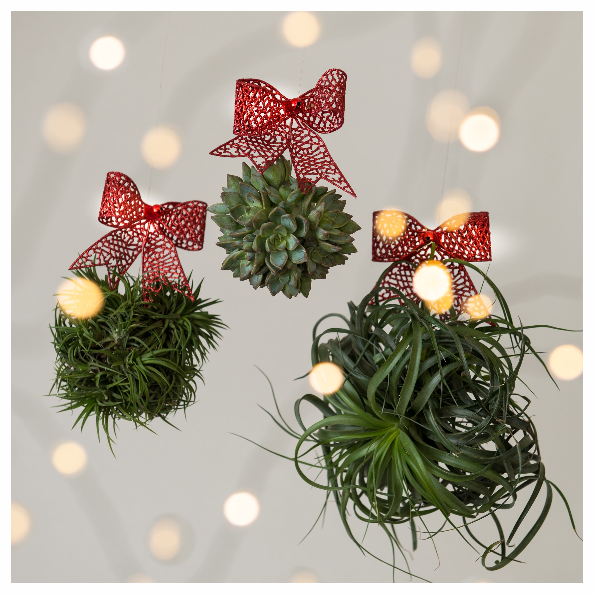 Living Holiday ornaments 