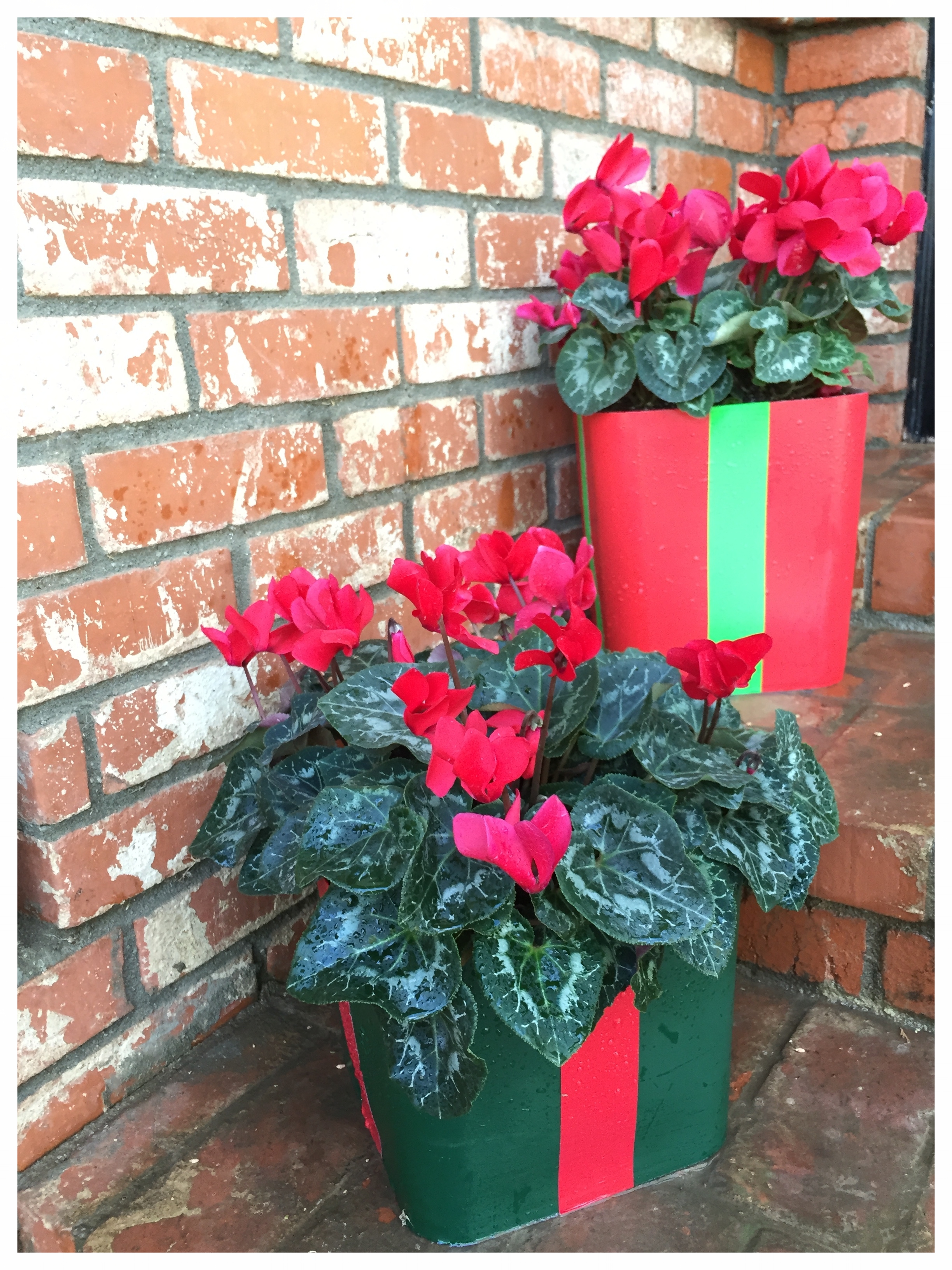 Square buckets, spray paint and colored duct tape....now Holiday planters. 