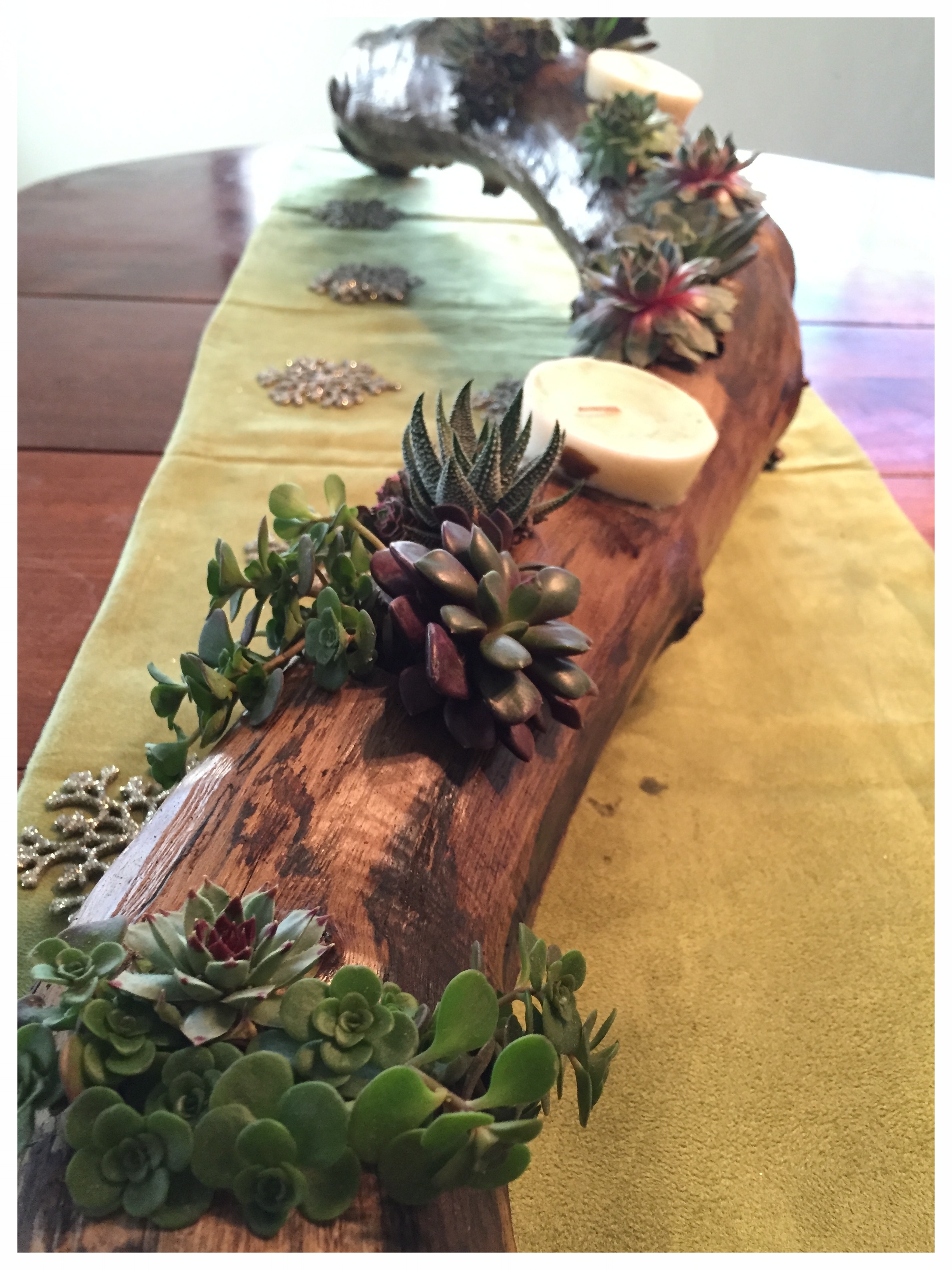 A living centerpiece