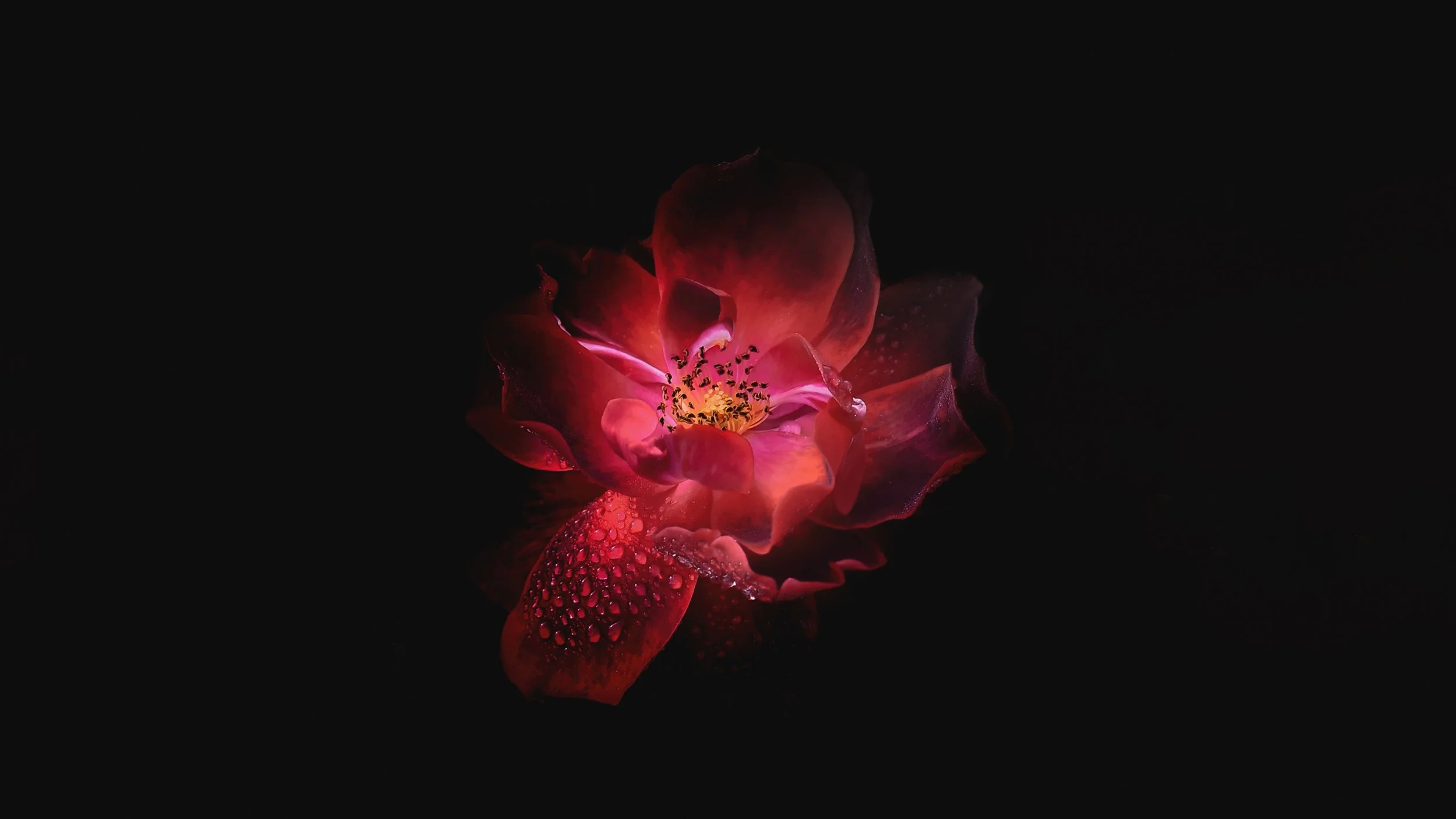RNFetchBlobTmp_ceac285x29amrr0xn2794p.png