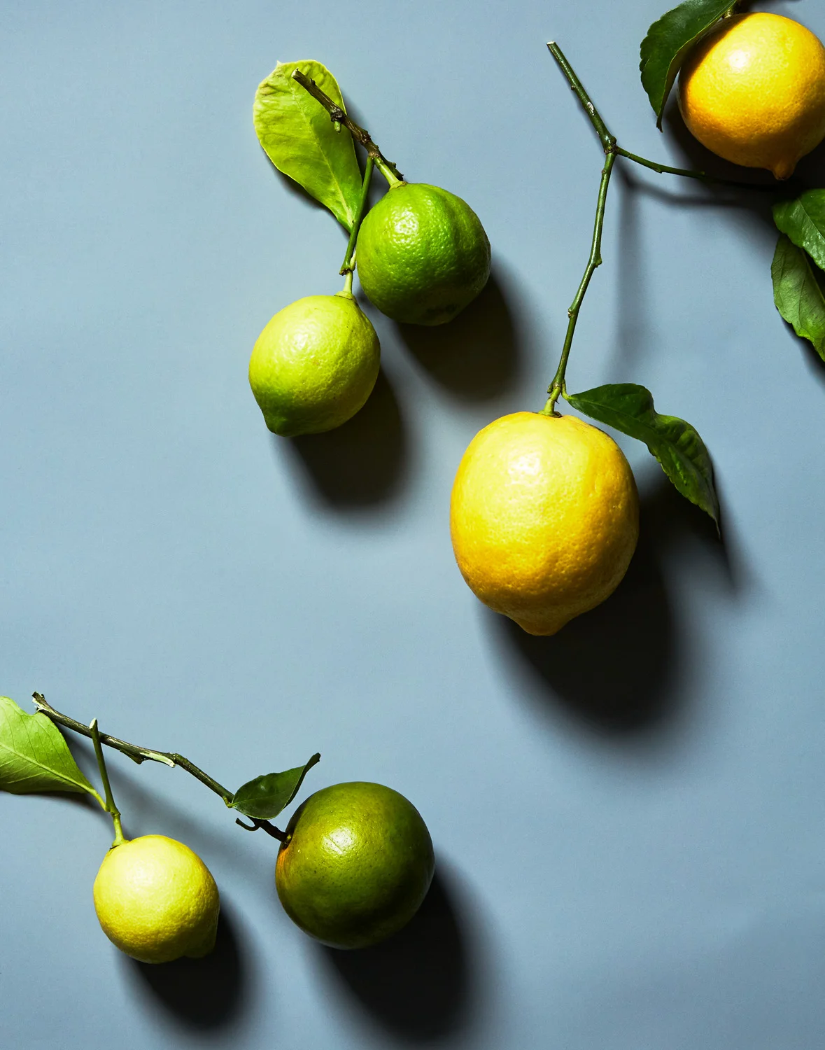 2017_12_09_Fruit_Test_050.jpg