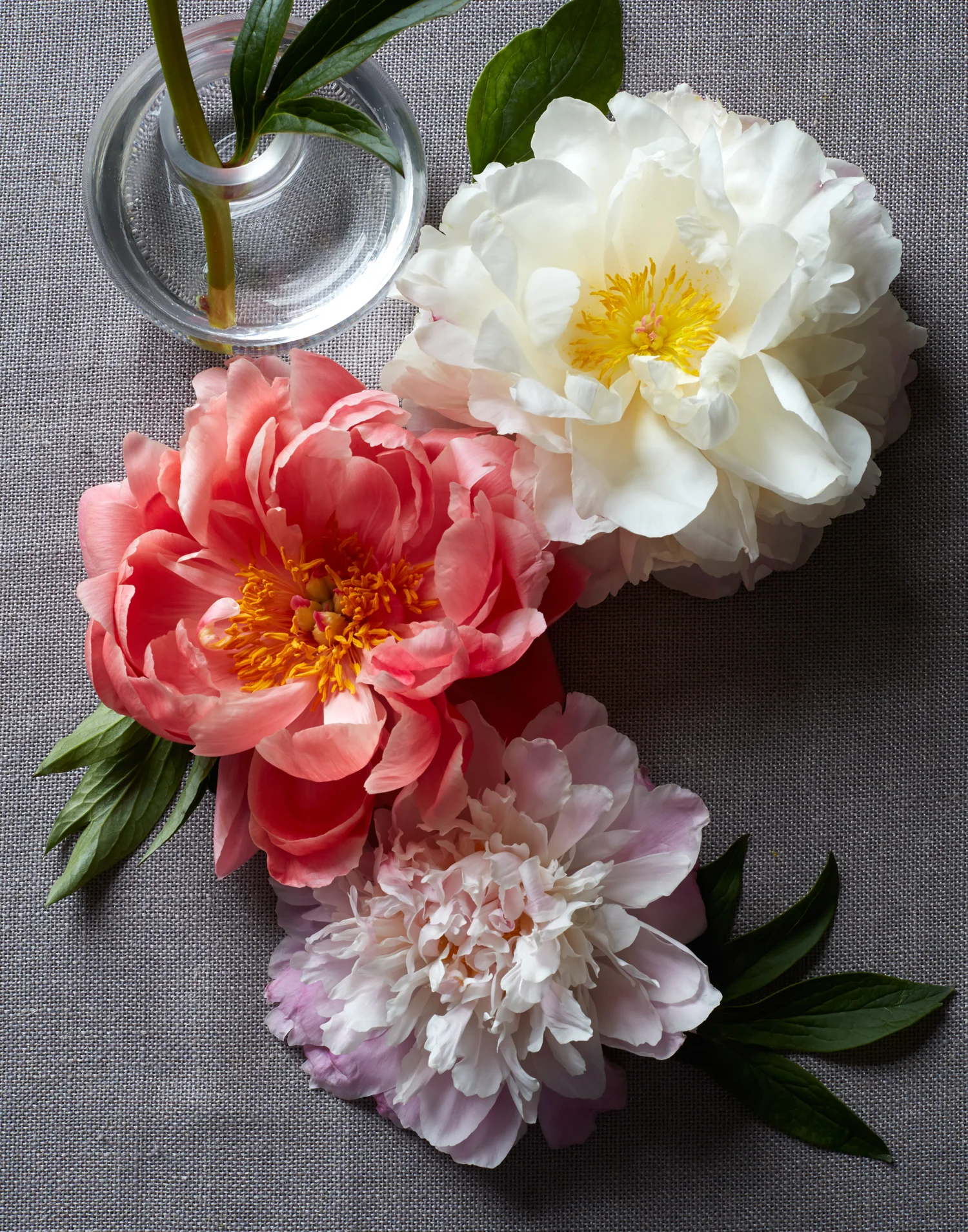 2014_04_30_AnthroFlowers0258.jpg