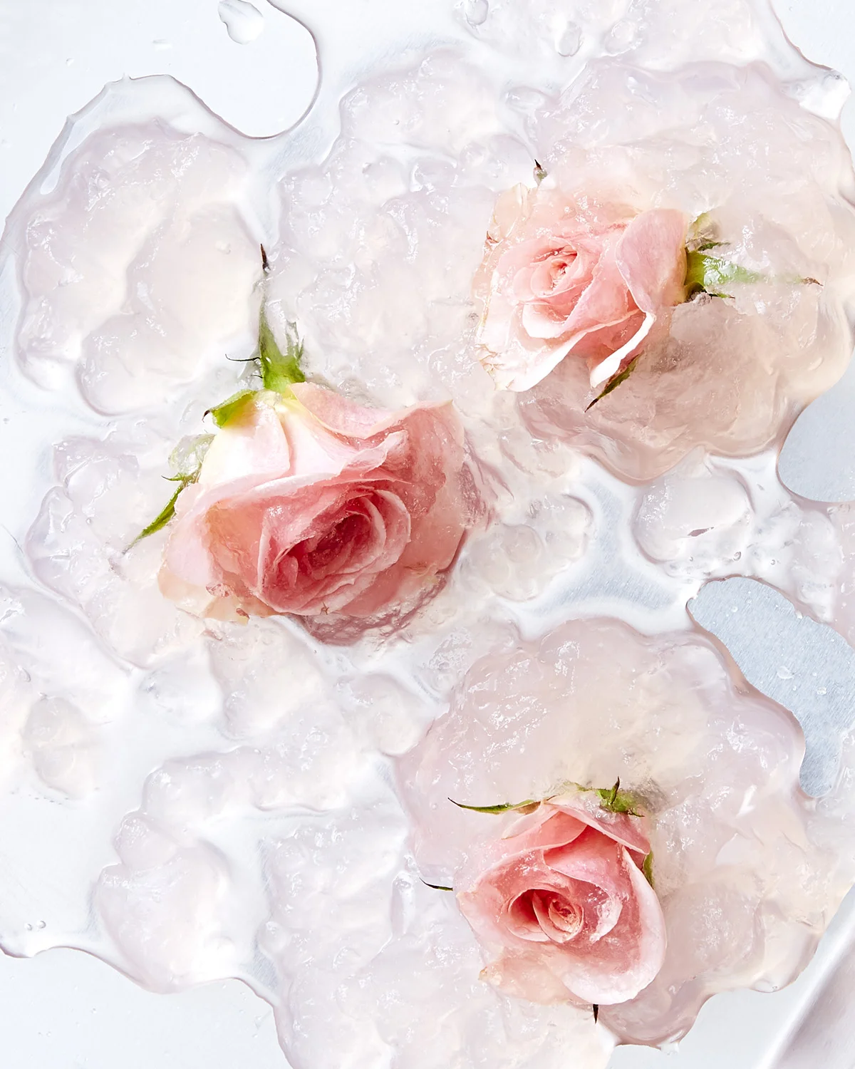 2018_05_19_Floral2179.jpg