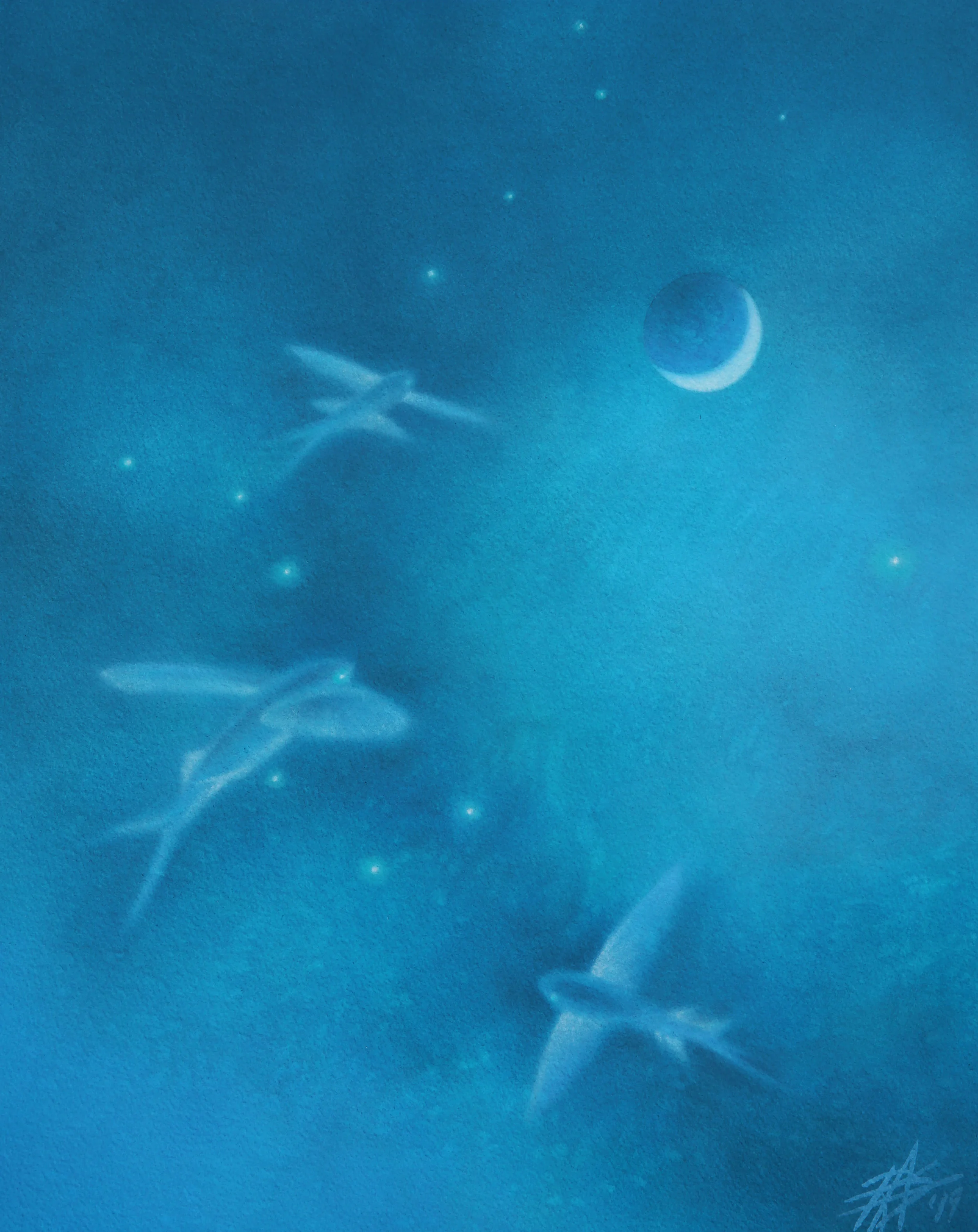 Flying Fish with Asterism